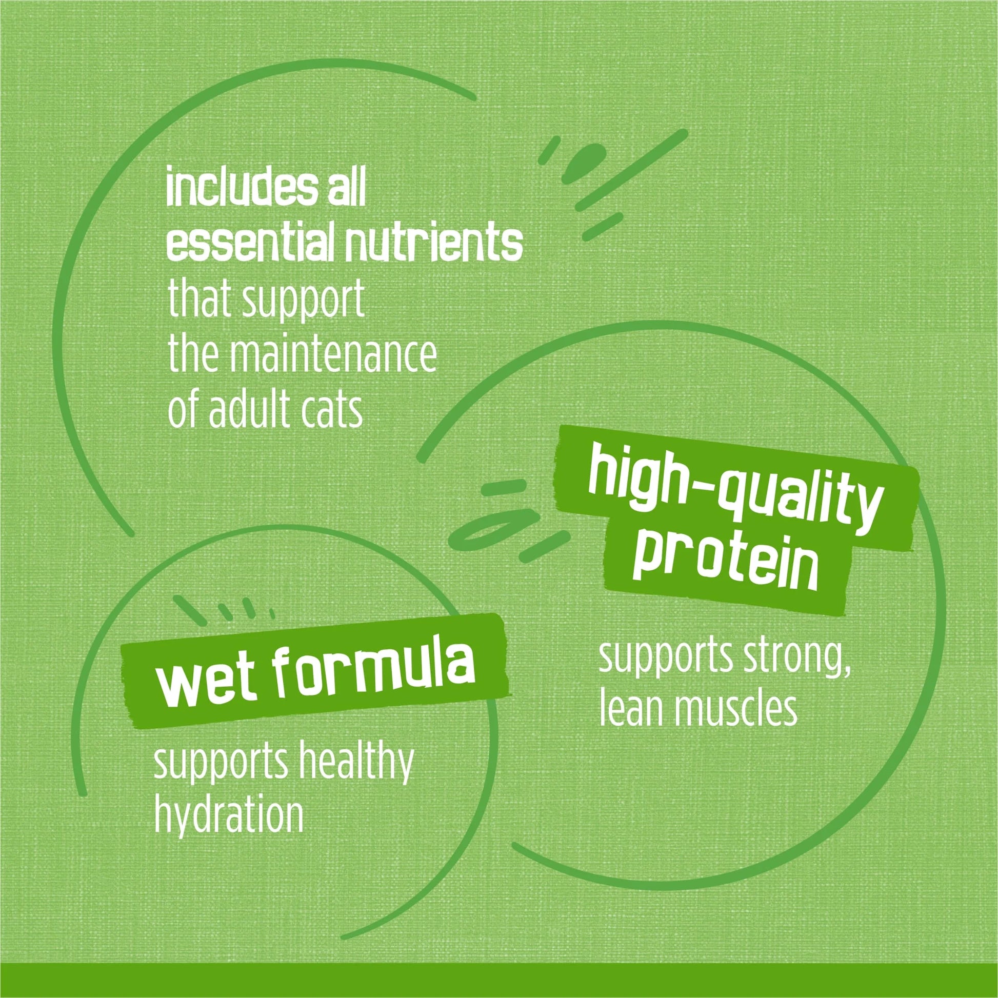 Purina  Pâté Salmon, Turkey, and Mixed Grilled Wet Cat Food, 5.5 oz Can, 12-Pack