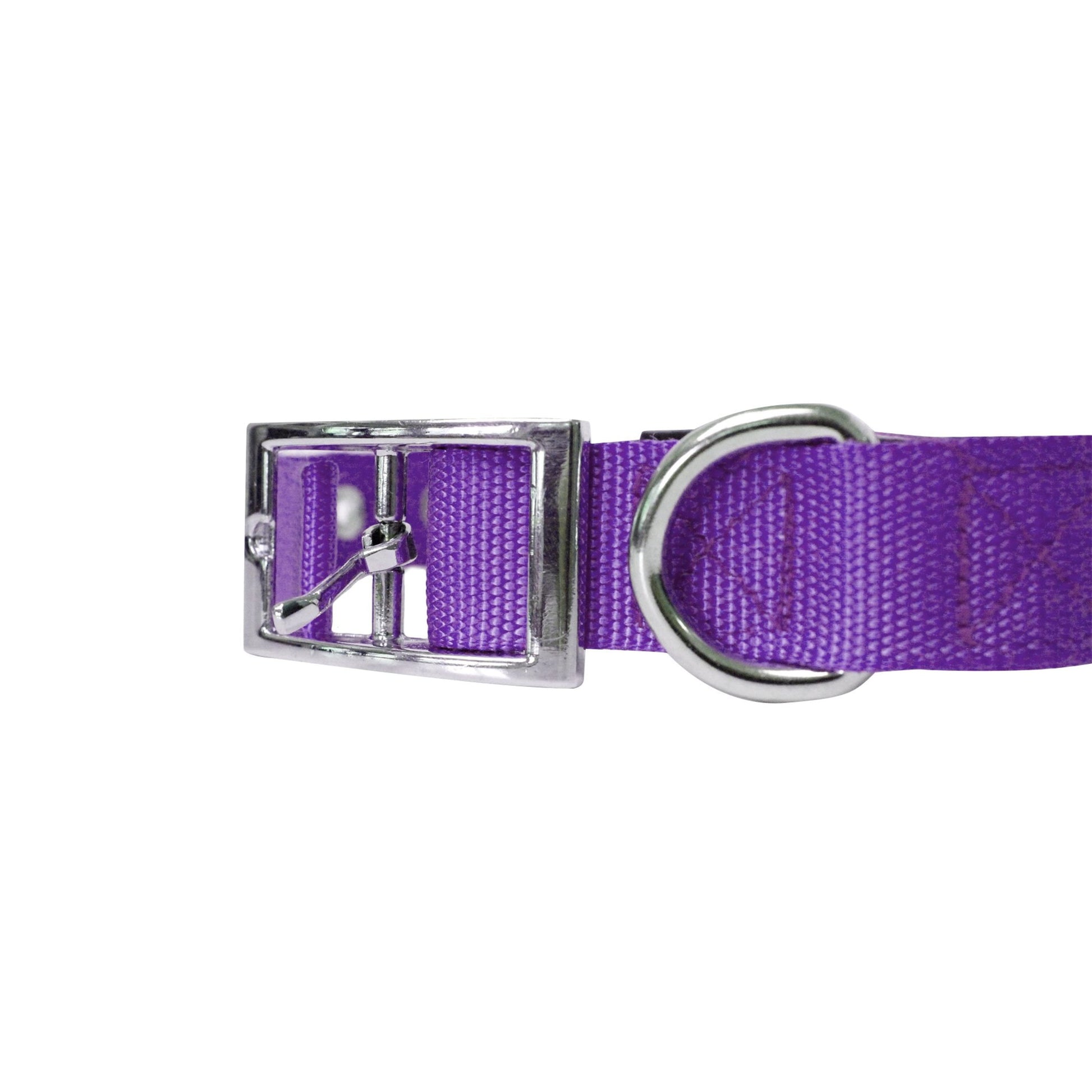 Padded Dog Collar for Large Dogs - Purple, Size L