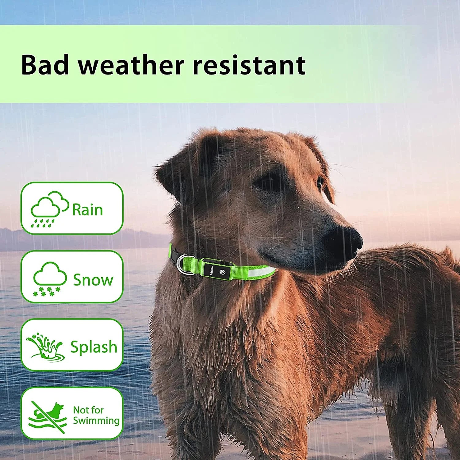 Rechargeable LED Dog Collar - Waterproof Color Changing Glow in the Dark Collar for Dogs of All Sizes (Neon Green)