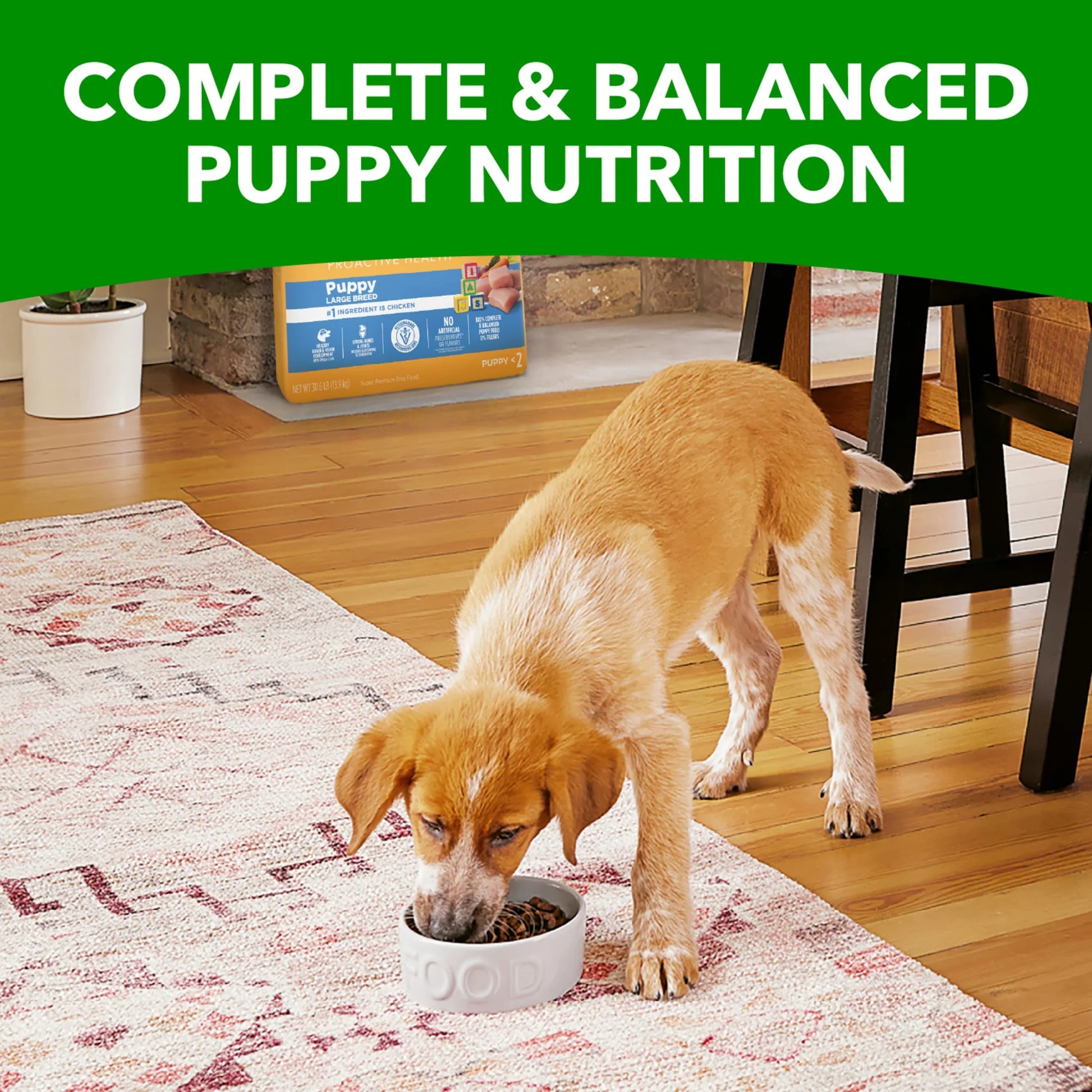 Proactive Health Chicken Dry Dog Food for Puppies, 30.6 lb Bag