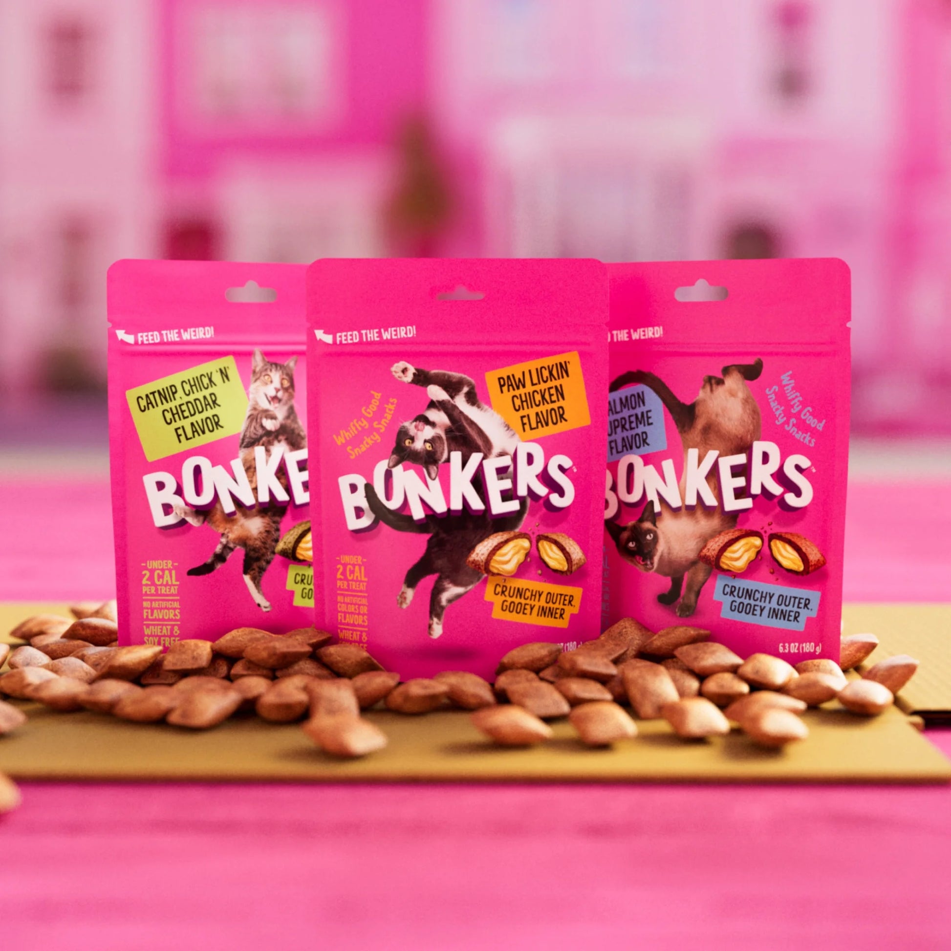 Chicken Flavor Cat Treats, Crunchy and Soft Snacks for Cats, 3 Oz Bag