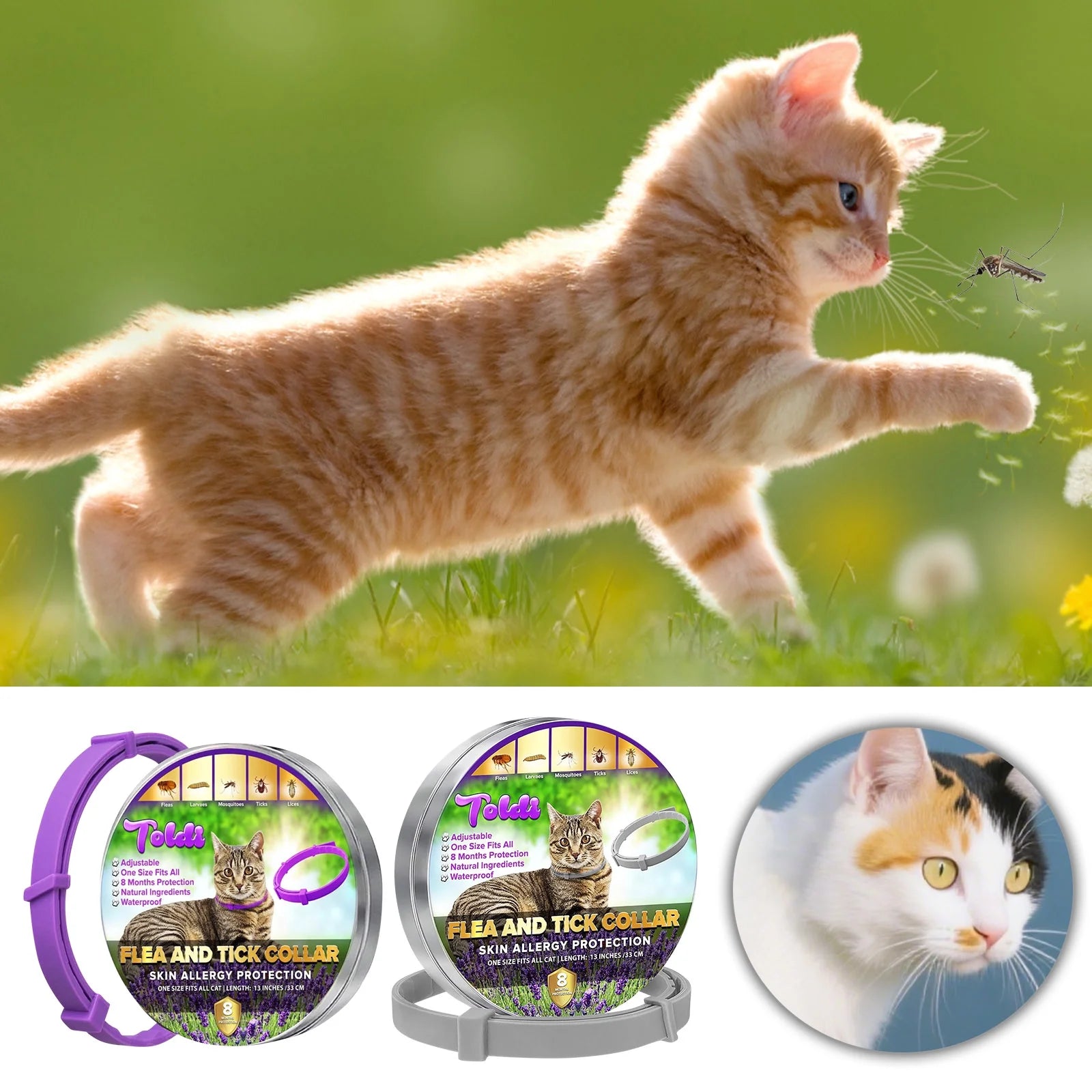 8-Month Flea and Tick Prevention Collar for Cats