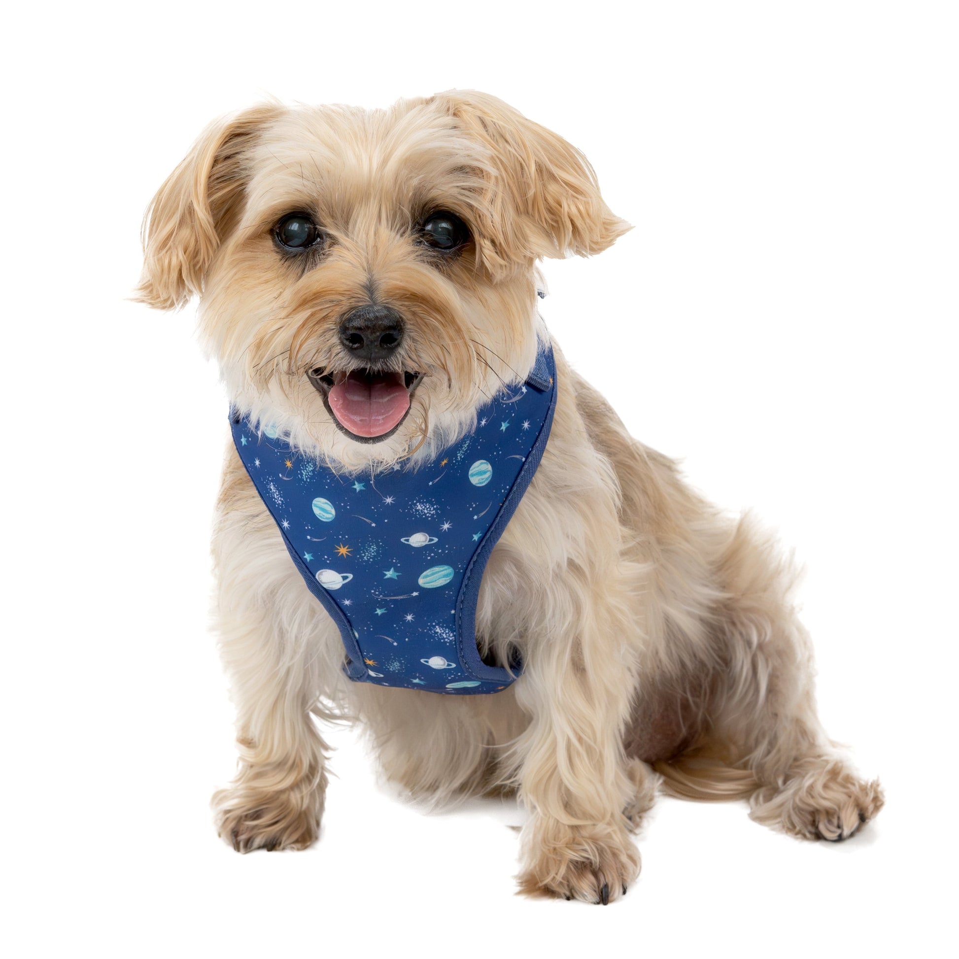 Adjustable Dog Harness for Space Adventures, Blue, Small, Made of Polyester and Spandex