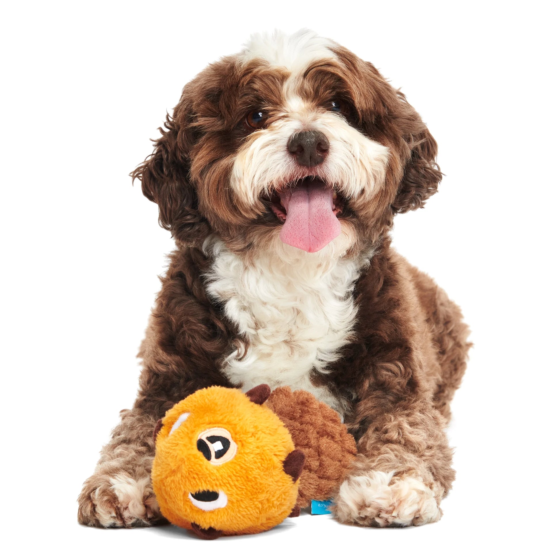 Plush Dam Daniel Beaver Dog Toy in Brown for Small to Medium Breeds