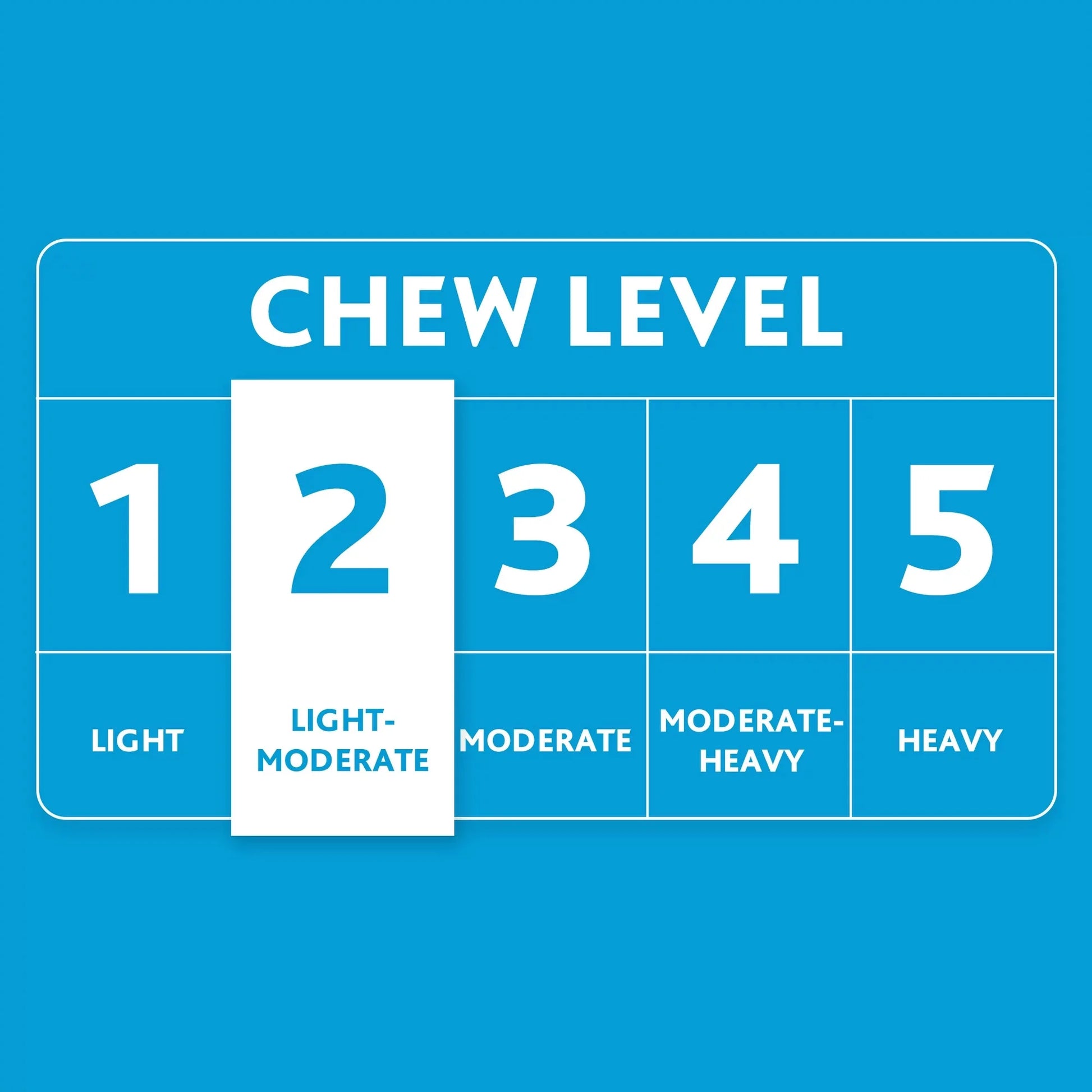 Cozy Buddy Squeaky Mallard Duck Dog Toy, Chew Level 2