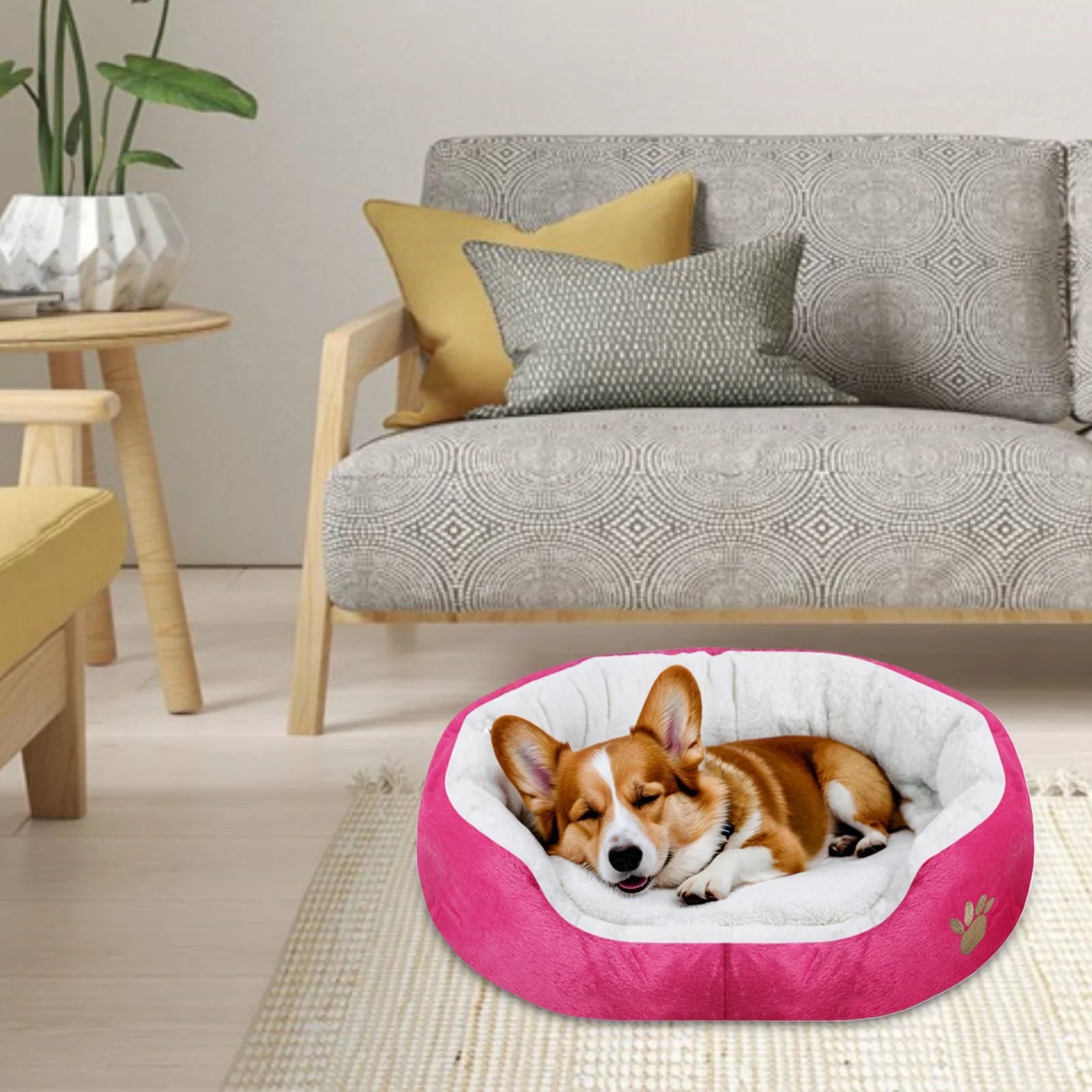 Dog Beds for Small Dogs Puppy Bed Pet Cats Bed with Removable Cushion for Indoor Cats Dogs