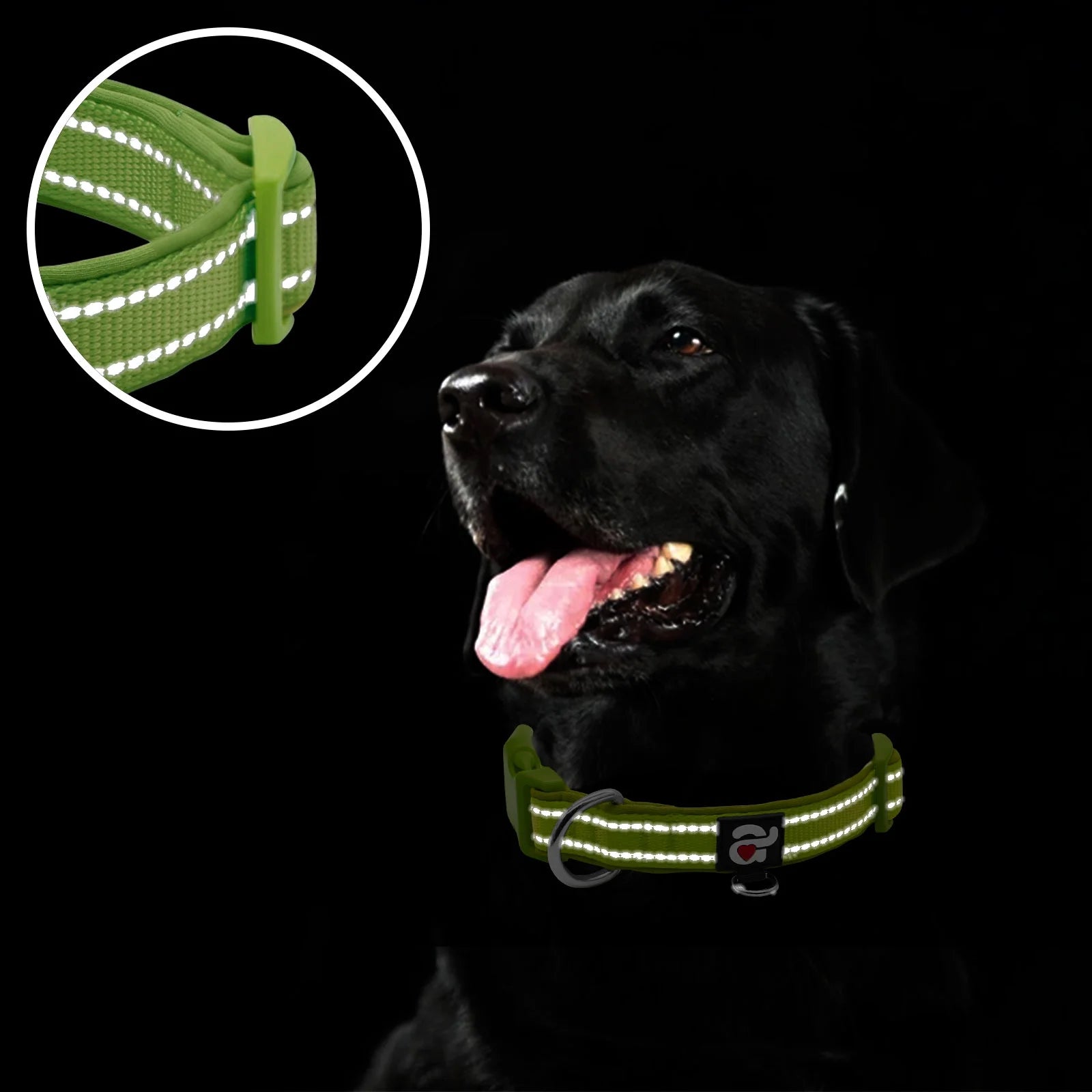 Reflective Dog Collar - Soft Neoprene Padded Adjustable Collar with ID Tag Ring for Puppies and Small Dogs, Army Green, XS