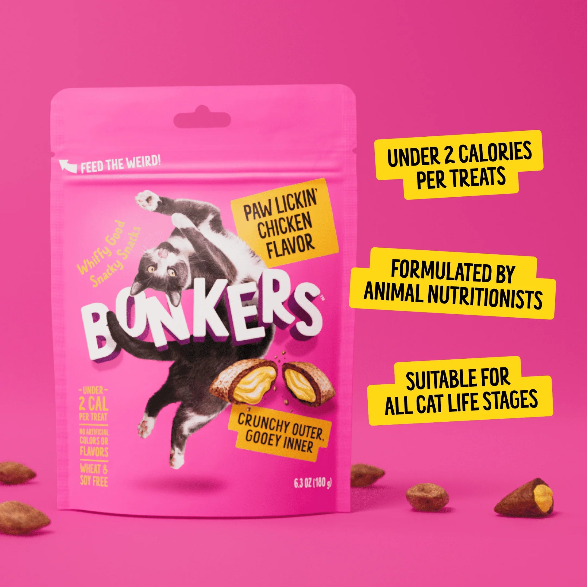 Chicken Flavor Cat Treats, Crunchy and Soft Snacks for Cats, 3 Oz Bag