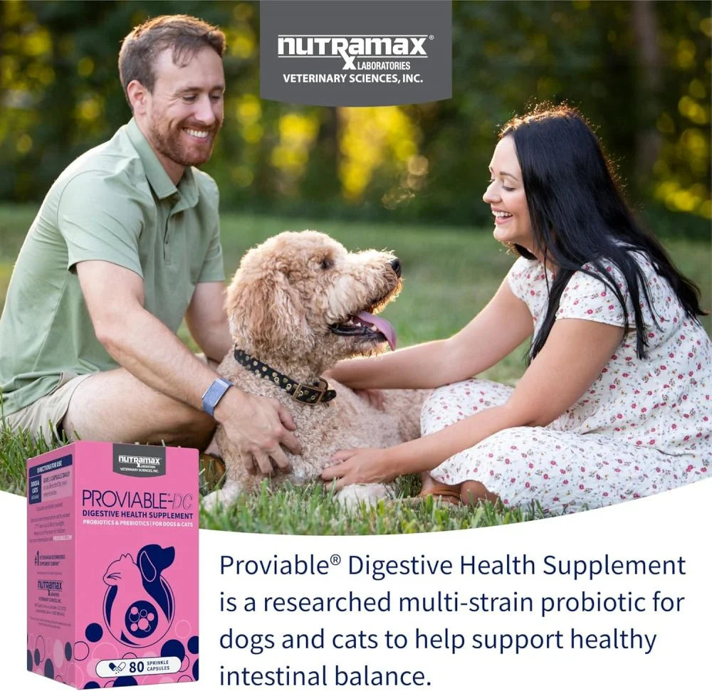 Proviable Digestive Health Supplement DC Capsules for Cats and Dogs, 80 Count