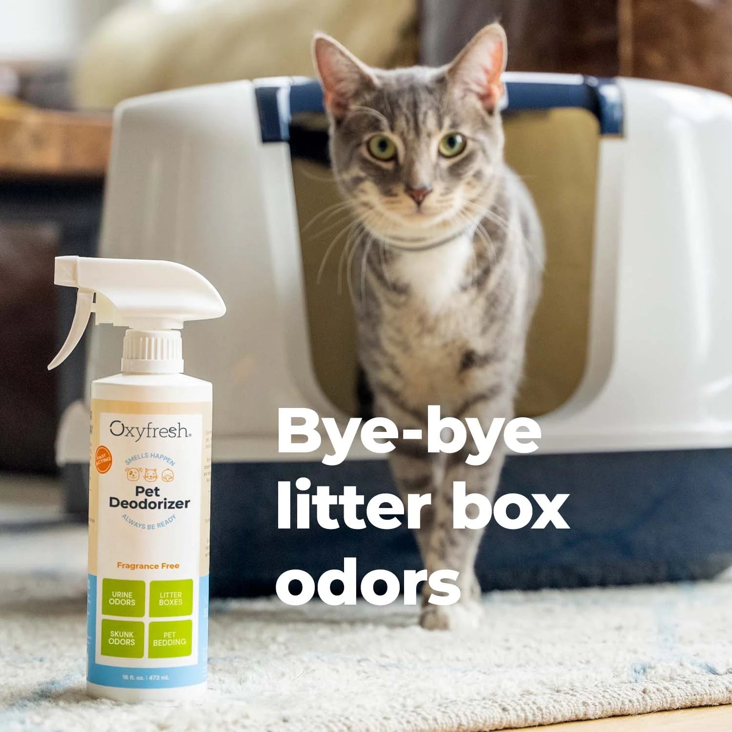 Extra Strength Pet Odor Eliminator Spray - Fragrance-Free, Non-Toxic Formula for Immediate Odor Removal in Homes and Vehicles, Endorsed by Veterinarians, 16 Oz