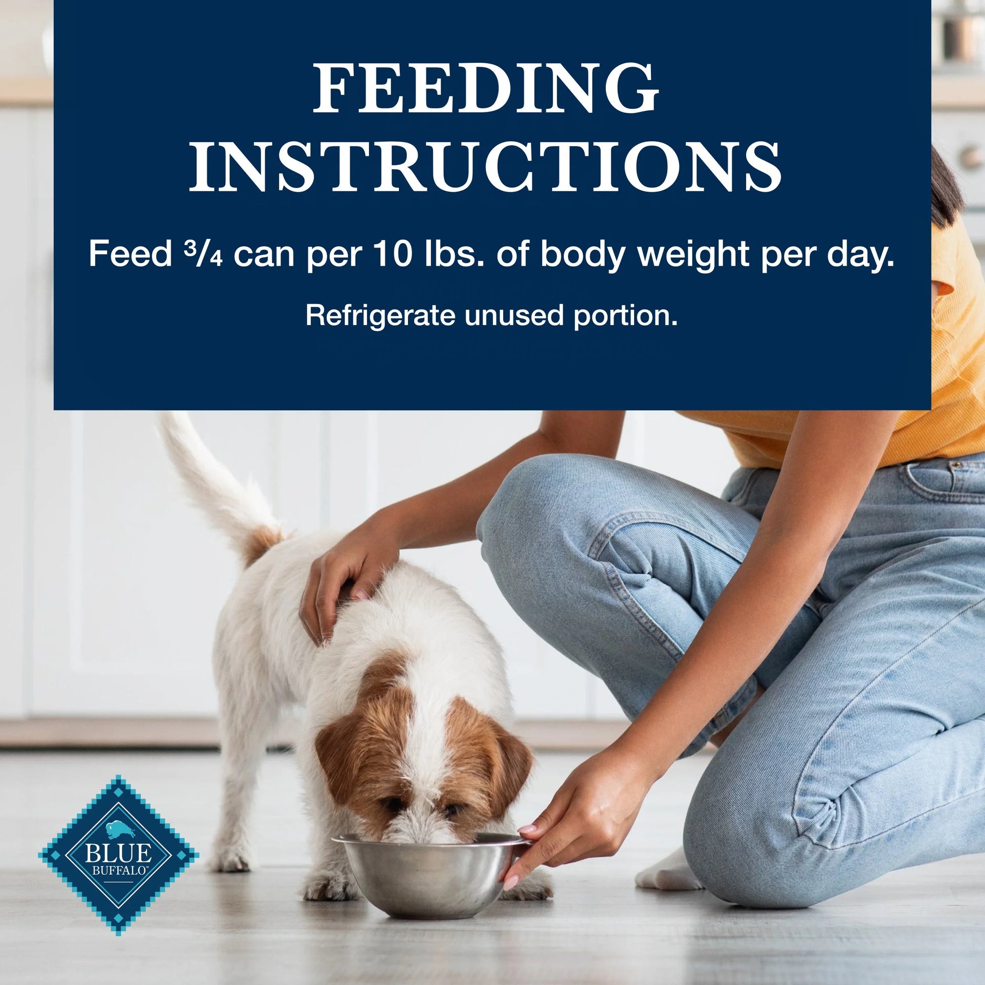 Homestyle Recipe Adult Wet Dog Food, Chicken and Beef, 12.5 oz Can (Pack of 6)