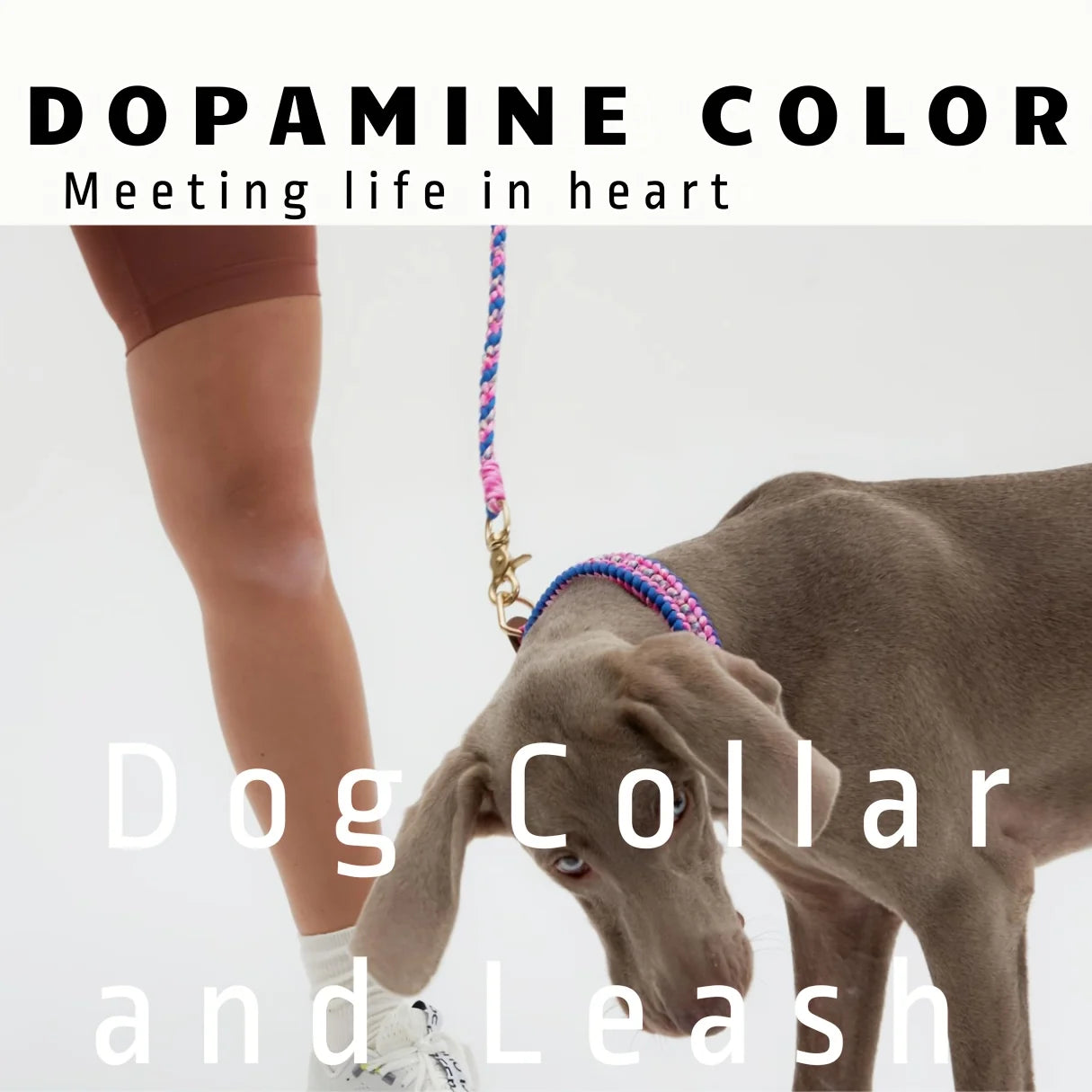 Adjustable Dog Collar and Leash Set, Reflective Collars with Brass Buckle and D-Ring for Medium Dogs Walking and Training