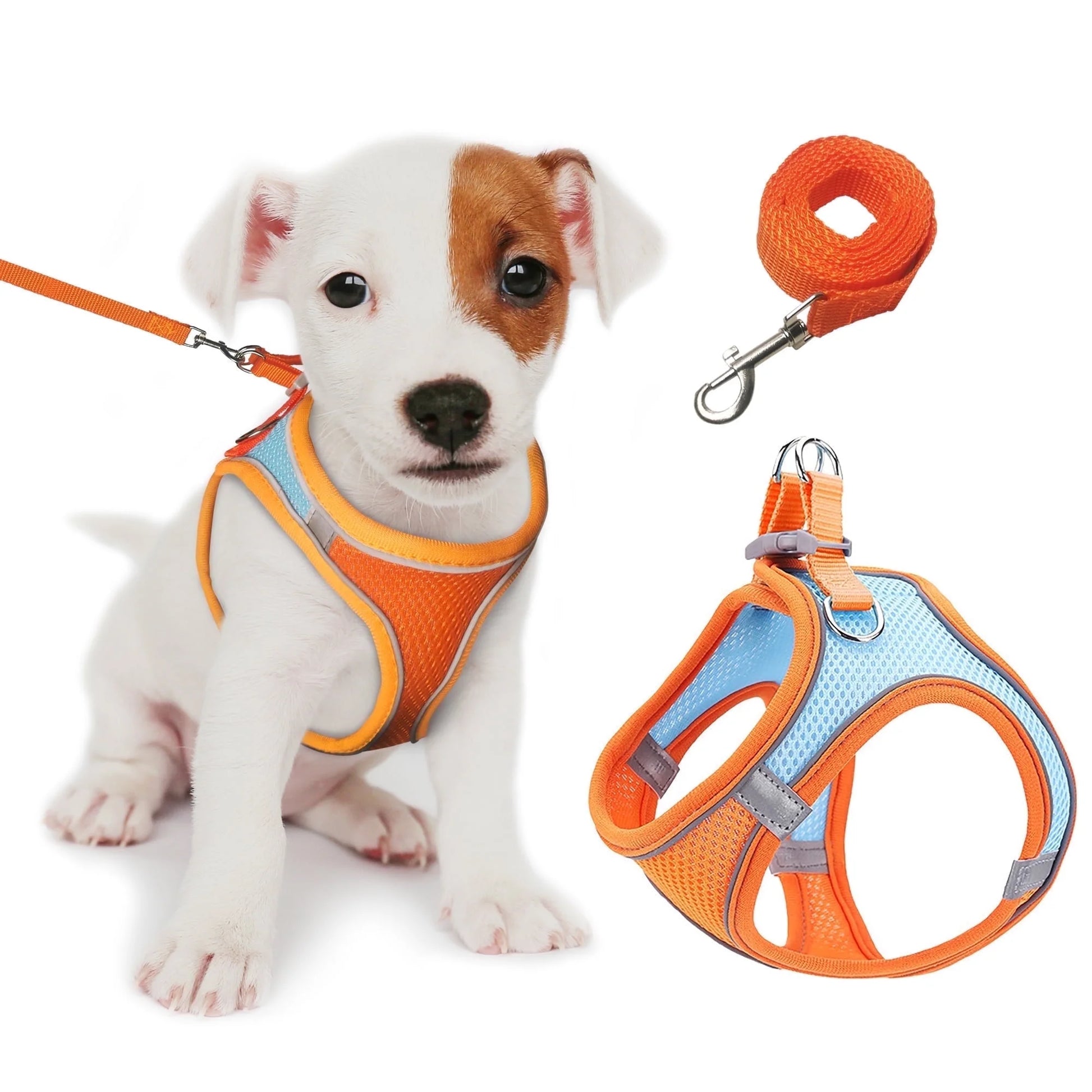 Reflective No-Pull Dog Harness and Leash for Small Dogs and Cats, Size M