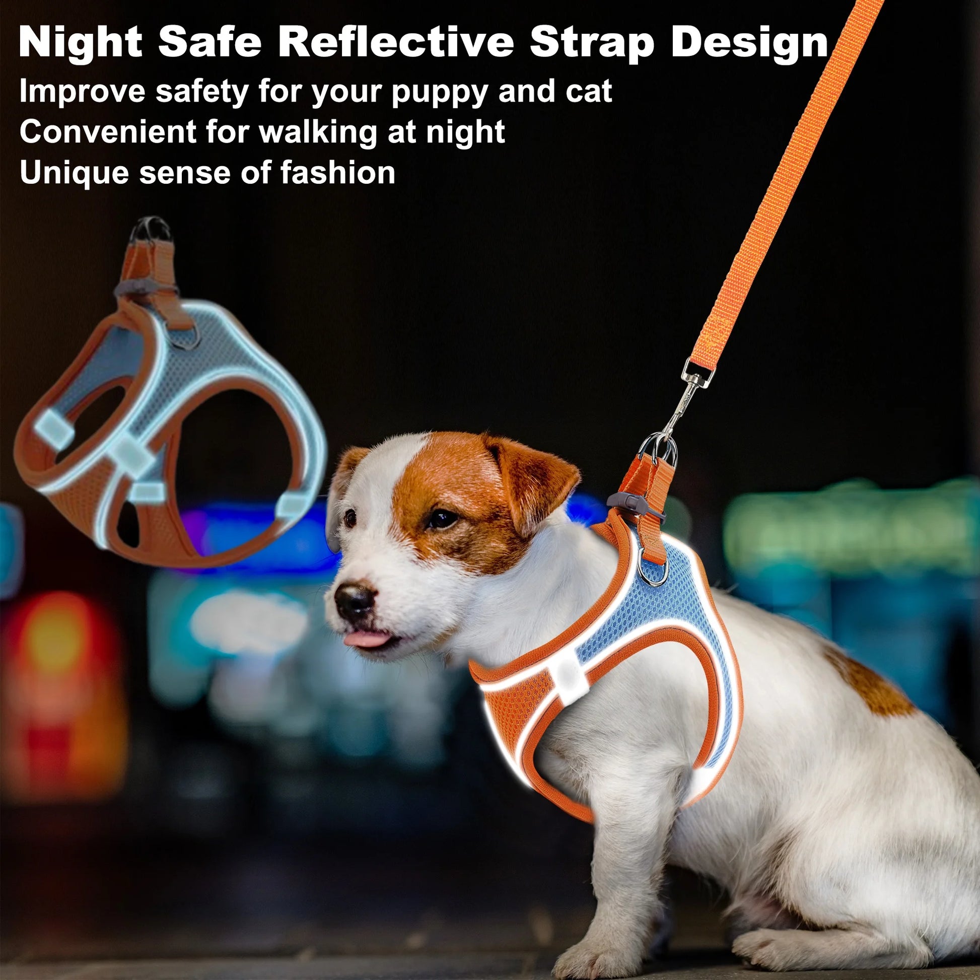 Reflective No-Pull Dog Harness and Leash for Small Dogs and Cats, Size M