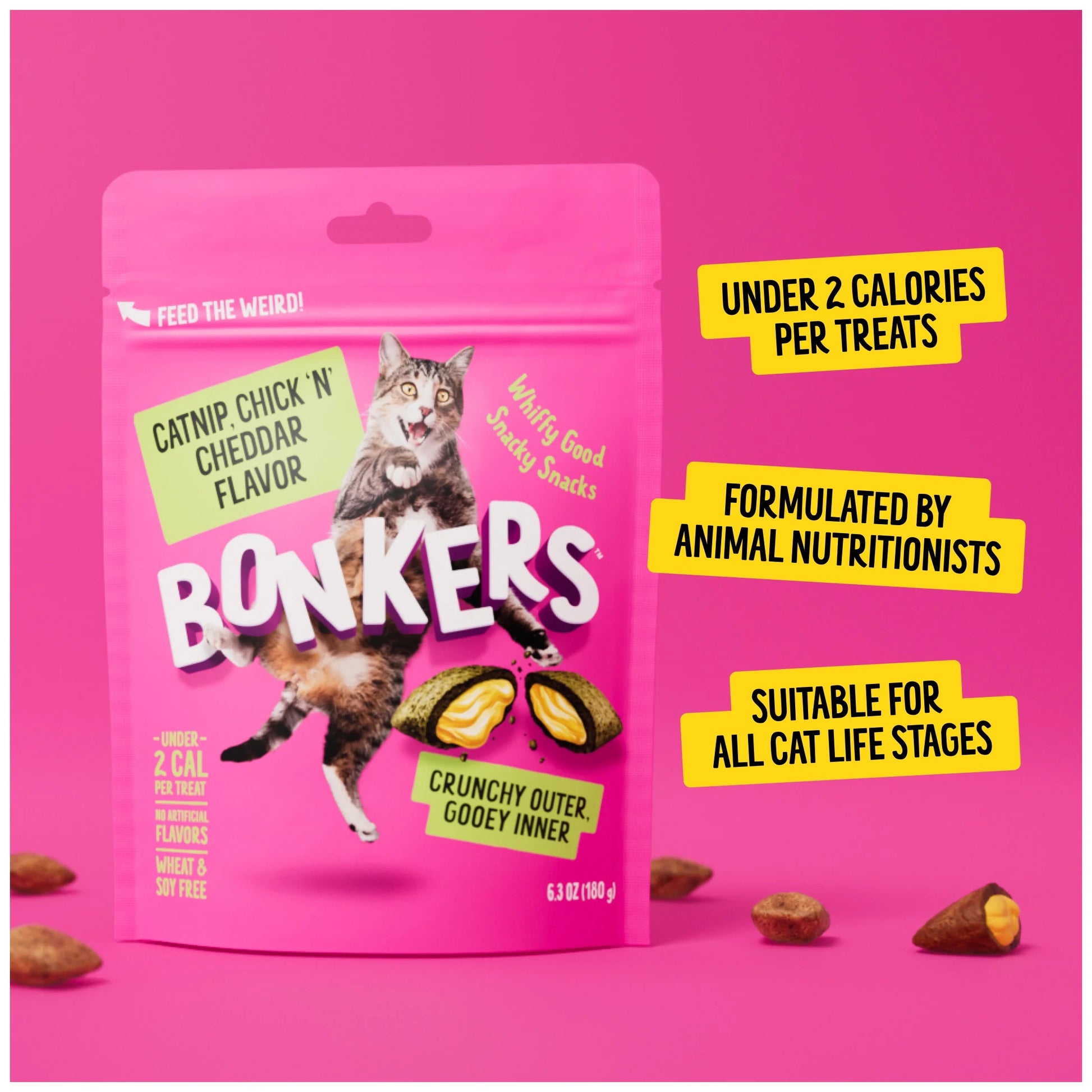 Cat Bites - Catnip & Chick 'N' Cheddar Flavor, Crunchy and Soft Cat Treats, 3 Oz Bag