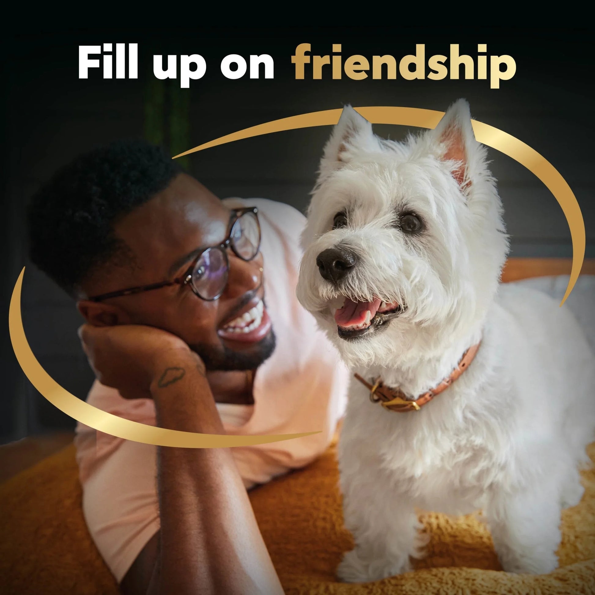 Filet Mignon with Spring Vegetables Dry Dog Food, 5 lb Bag