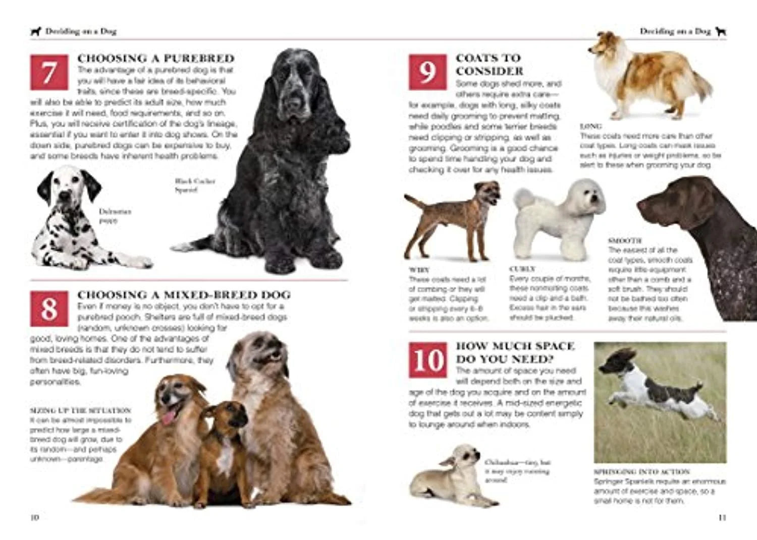 101 Essential Tips for Dog Care (Paperback)