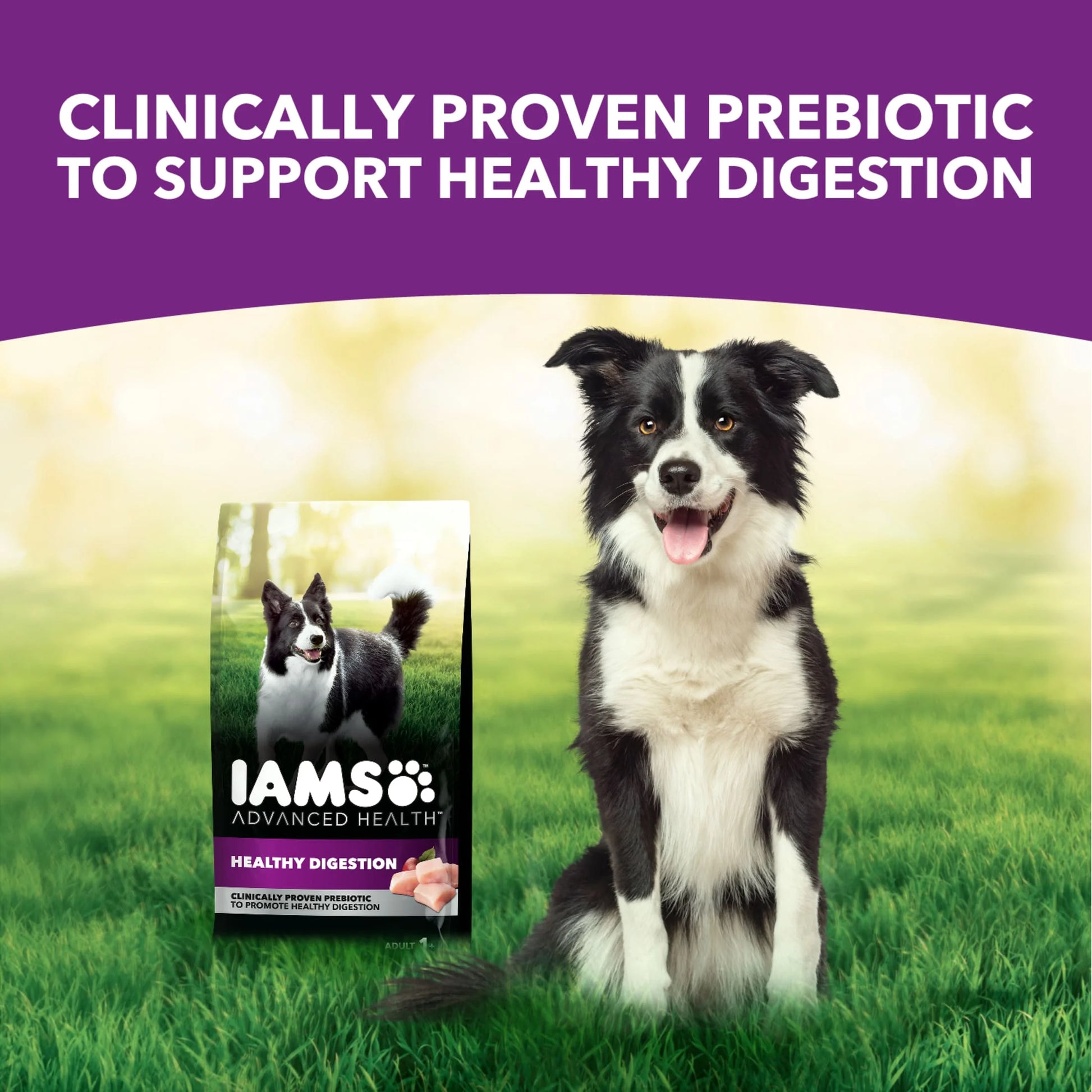 Advanced Health Adult Dry Dog Food for Healthy Digestion with Real Chicken, 13.5 lb Bag