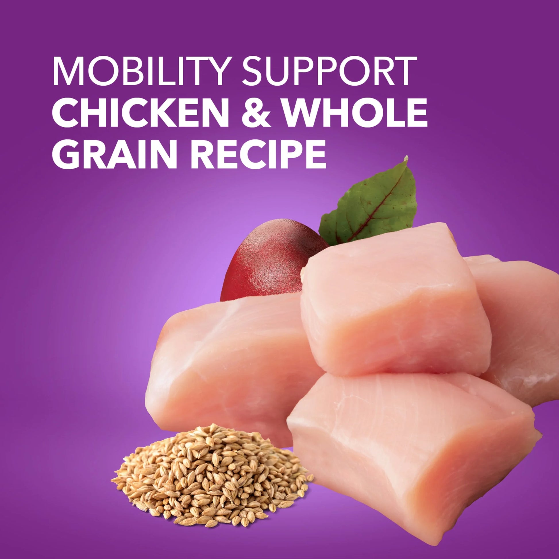 Advanced Health Mobility Support Chicken and Whole Grain Recipe Adult Dry Dog Food, 13.5 lb Bag