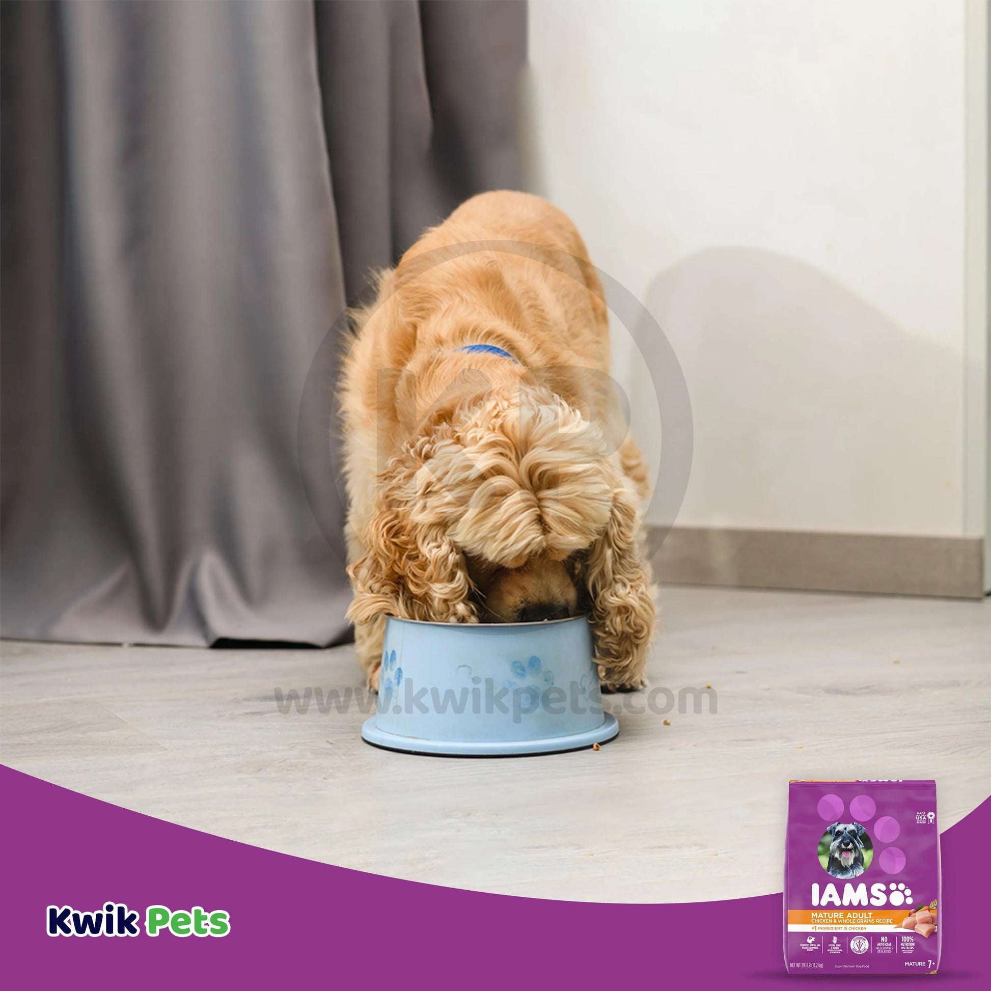 Mature Adult Senior Dry Dog Food with Real Chicken, 29.1 lbs