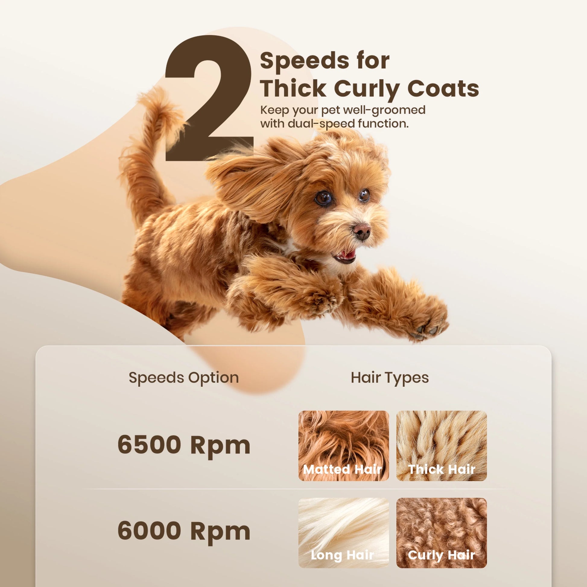 Professional Dog Grooming Clippers Kit, 2 Speed Heavy Duty Cordless Hair Shears Trimmers for Thick Heavy Coats,With Metal Blade for Dogs Cats Animals, All Metal Design Pet Clippers Electric