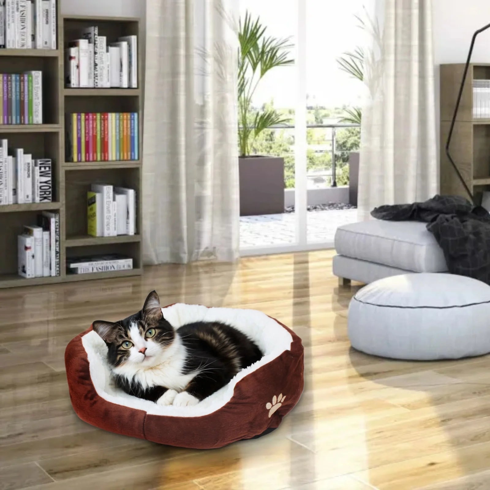 Dog Beds for Small Dogs Puppy Bed Pet Cats Bed with Removable Cushion for Indoor Cats Dogs, Brown