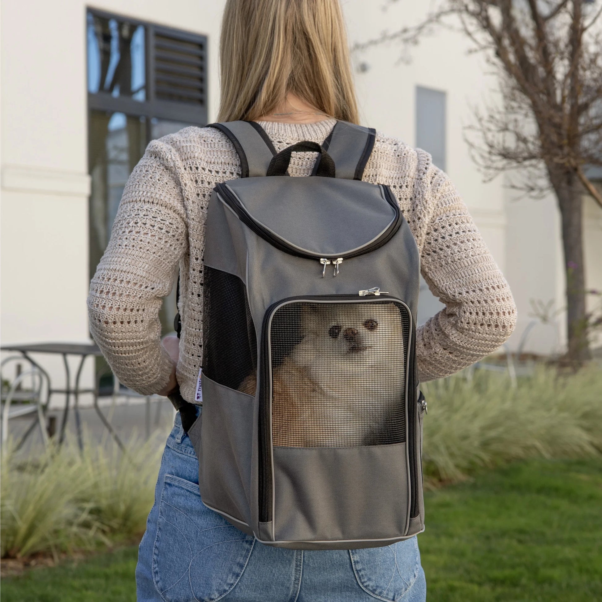 Medium Pet Travel Backpack for Cats and Dogs, Gray, 16 lb Capacity