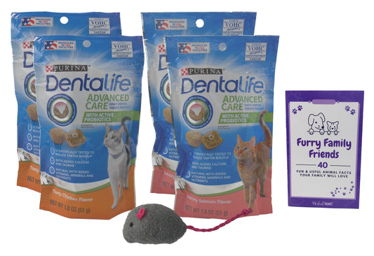 Purina Dentalife Dental Cat Treats 2 Flavor 4 Pouch Variety 2 Each: Tasty Chicken, Savory Salmon +  Zine | Catnip Toy