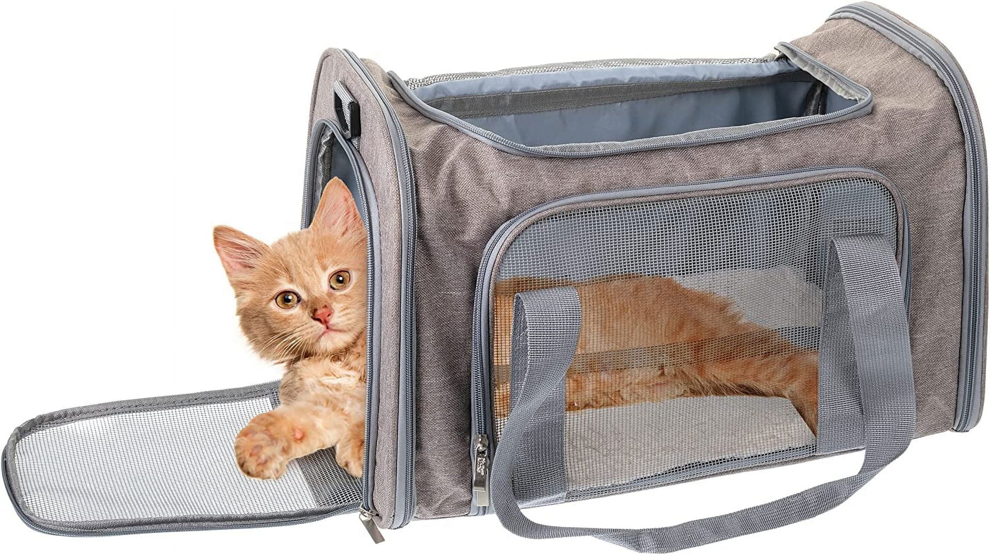 Pet Carrier - Versatile Travel Solution for Cats and Dogs