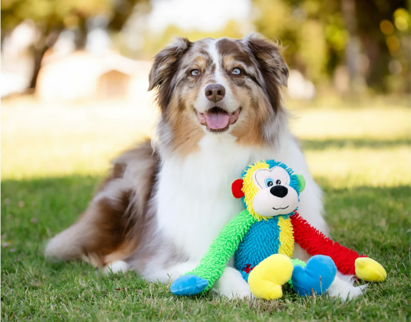 Multicrew Monkey Plush Dog Toy with Six Squeakers, 18 Inches