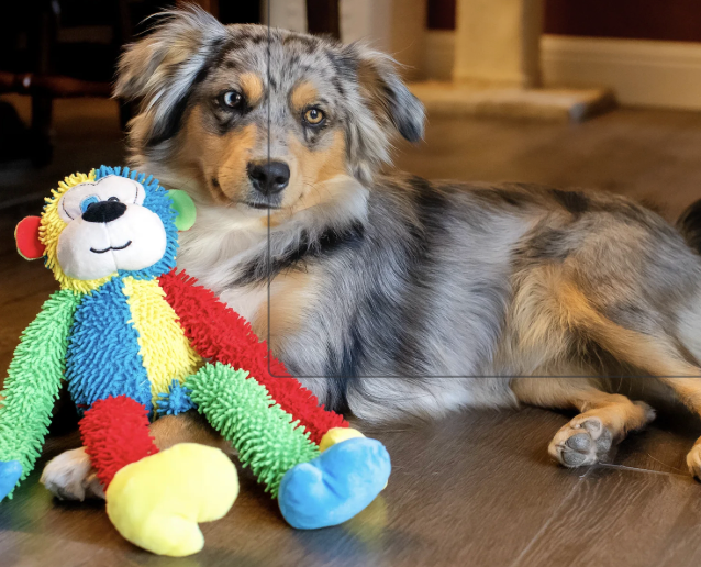 Multicrew Monkey Plush Dog Toy with Six Squeakers, 18 Inches