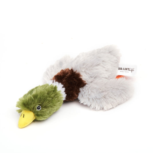 Cozy Buddy Squeaky Mallard Duck Dog Toy, Chew Level 2
