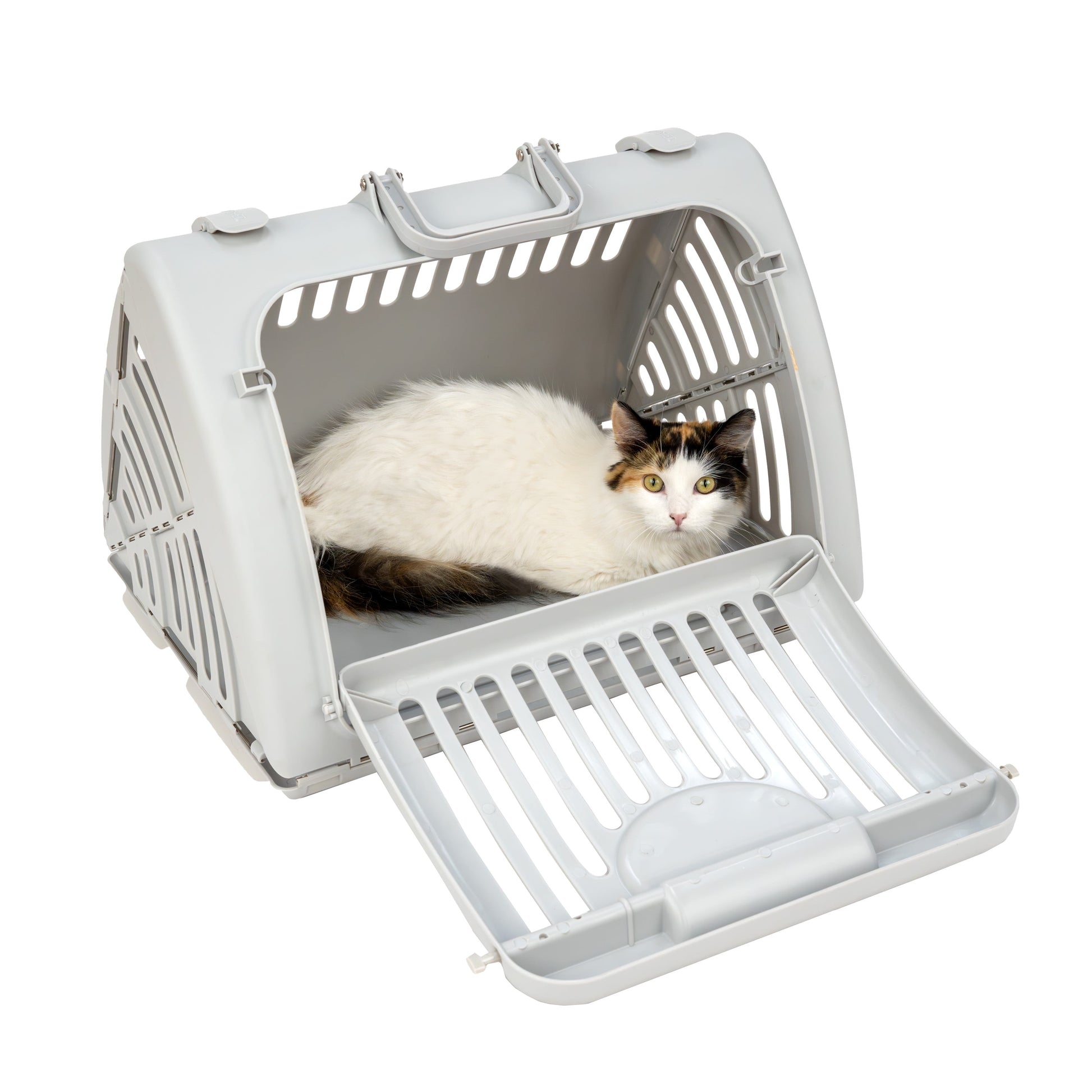 Portable Foldable Cat Carrier - Gray, One Size