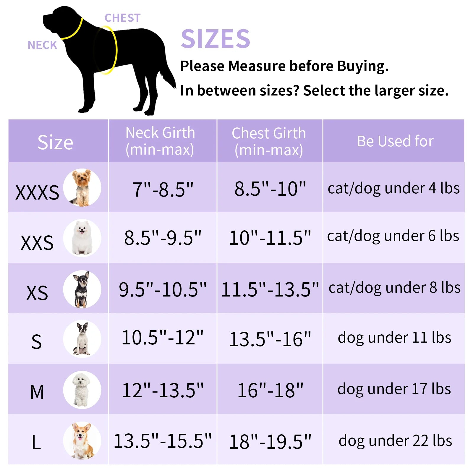 Extra Small Dog and Cat Harness with Leash, No-Pull Design, Quick-Release Buckle, Reflective Outdoor Vest in Purple, XXS