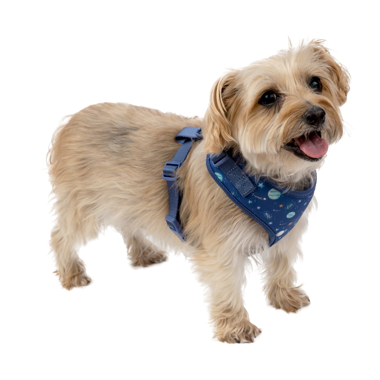 Adjustable Dog Harness for Space Adventures, Blue, Small, Made of Polyester and Spandex