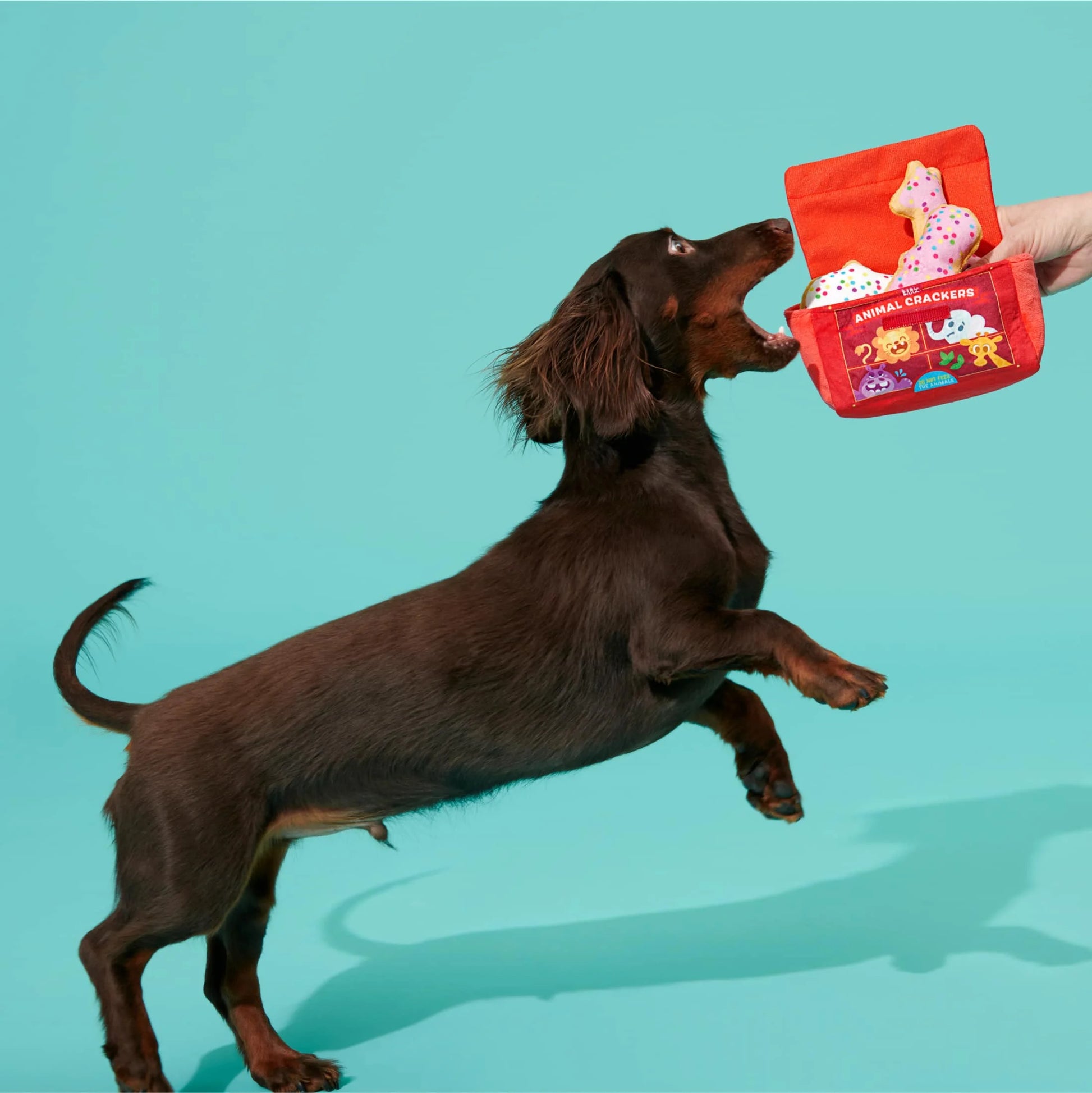 Animal Squeakers Snacks Cookie Snack Pack Multicolor Plush Dog Toy, for Extra Small to Small Dogs