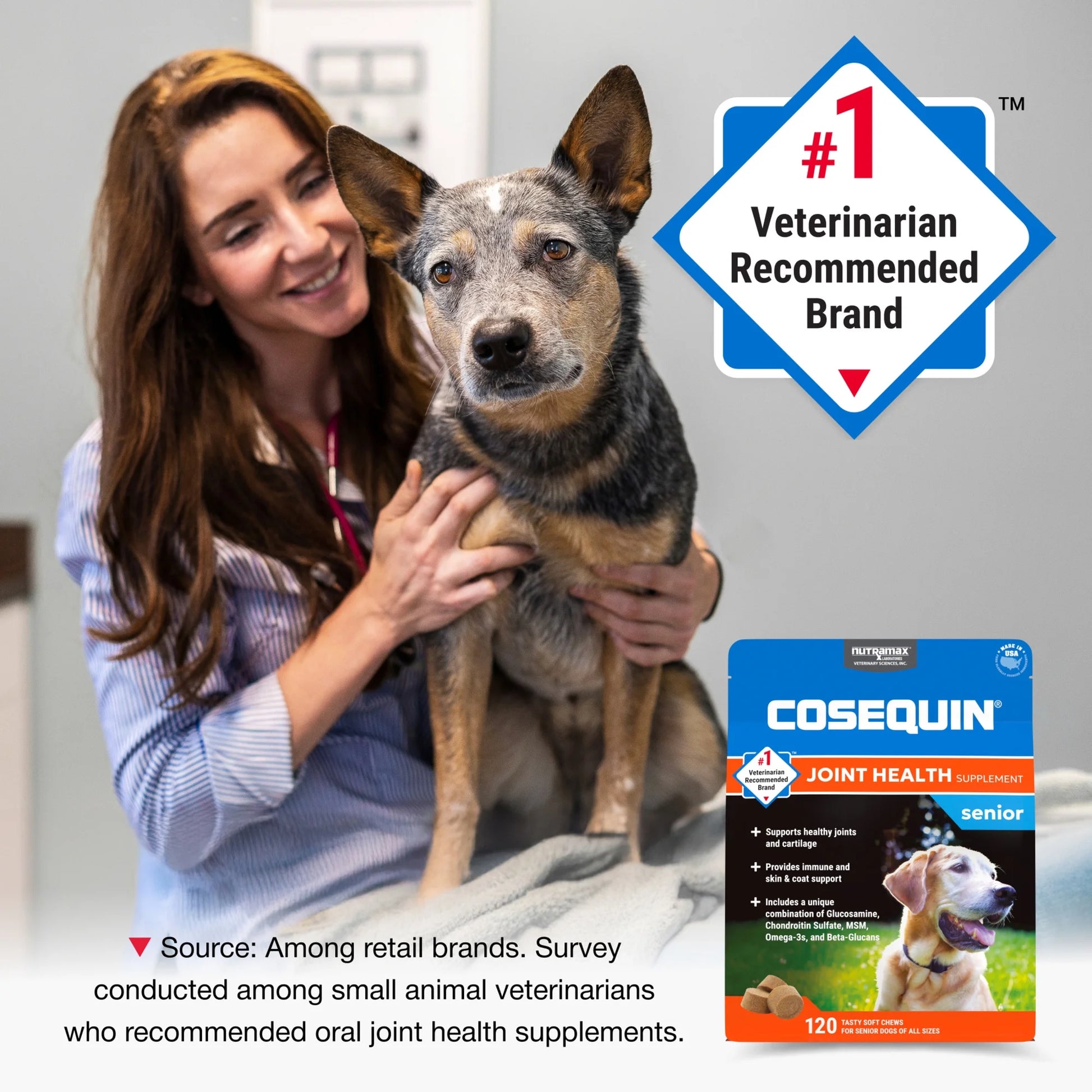 Nutramax Cosequin Senior Joint Health Supplement for Senior Dogs, 120 Soft Chews