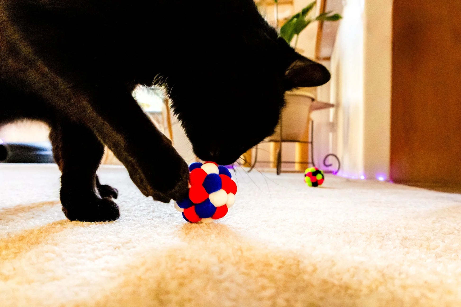 (6 Pack)  Pom Pom Cat Toy, Assorted Colors