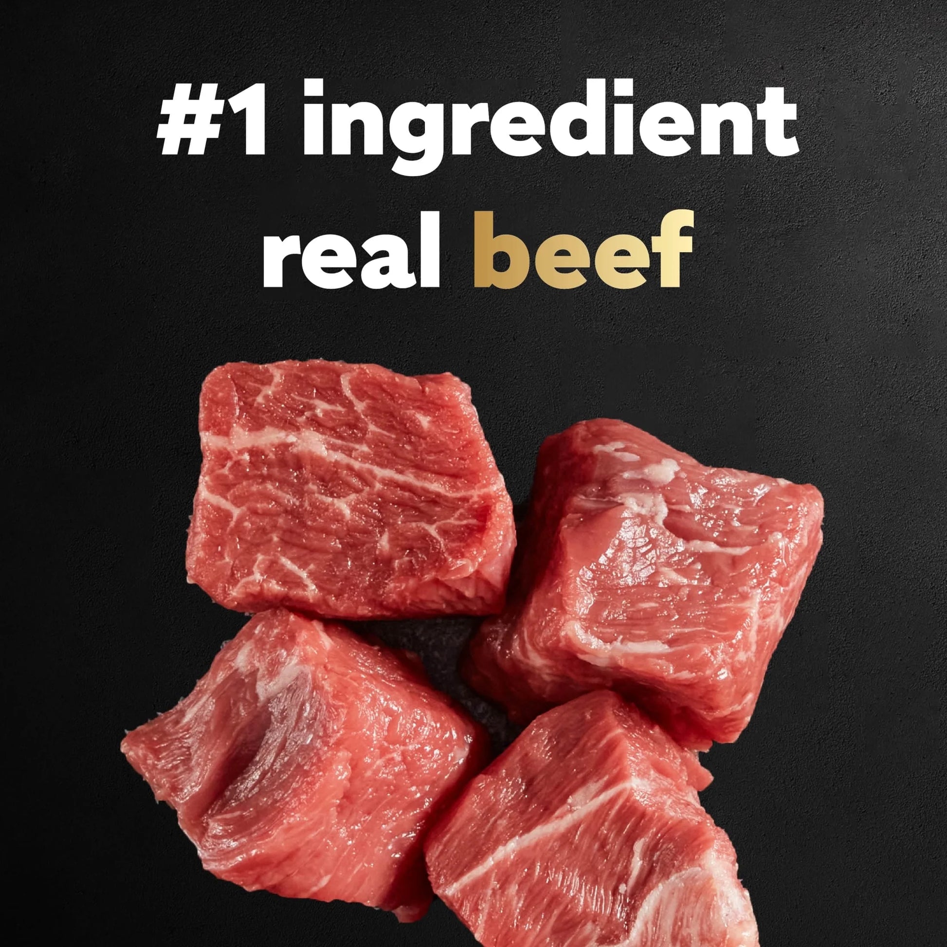 Filet Mignon with Spring Vegetables Dry Dog Food, 5 lb Bag