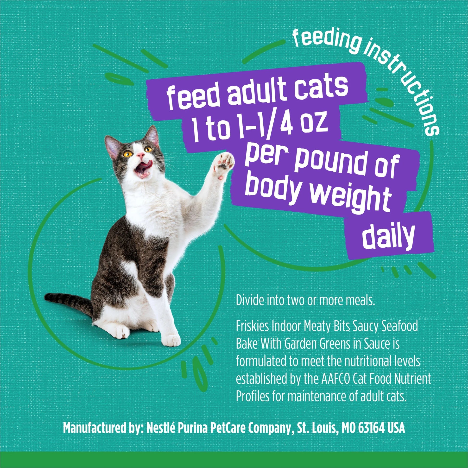 Purina  Indoor Saucy Seafood Bake Wet Cat Food, 5.5 oz Can