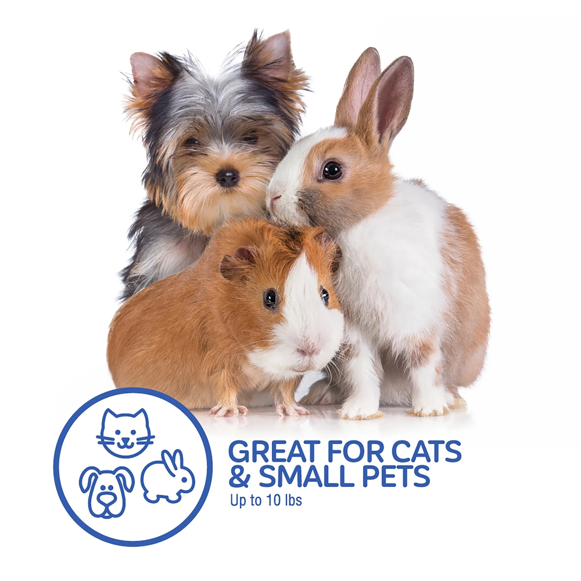 Top Load Pet Carrier for Cats, 19" Length, Suitable for Pets up to 10 lbs, Green