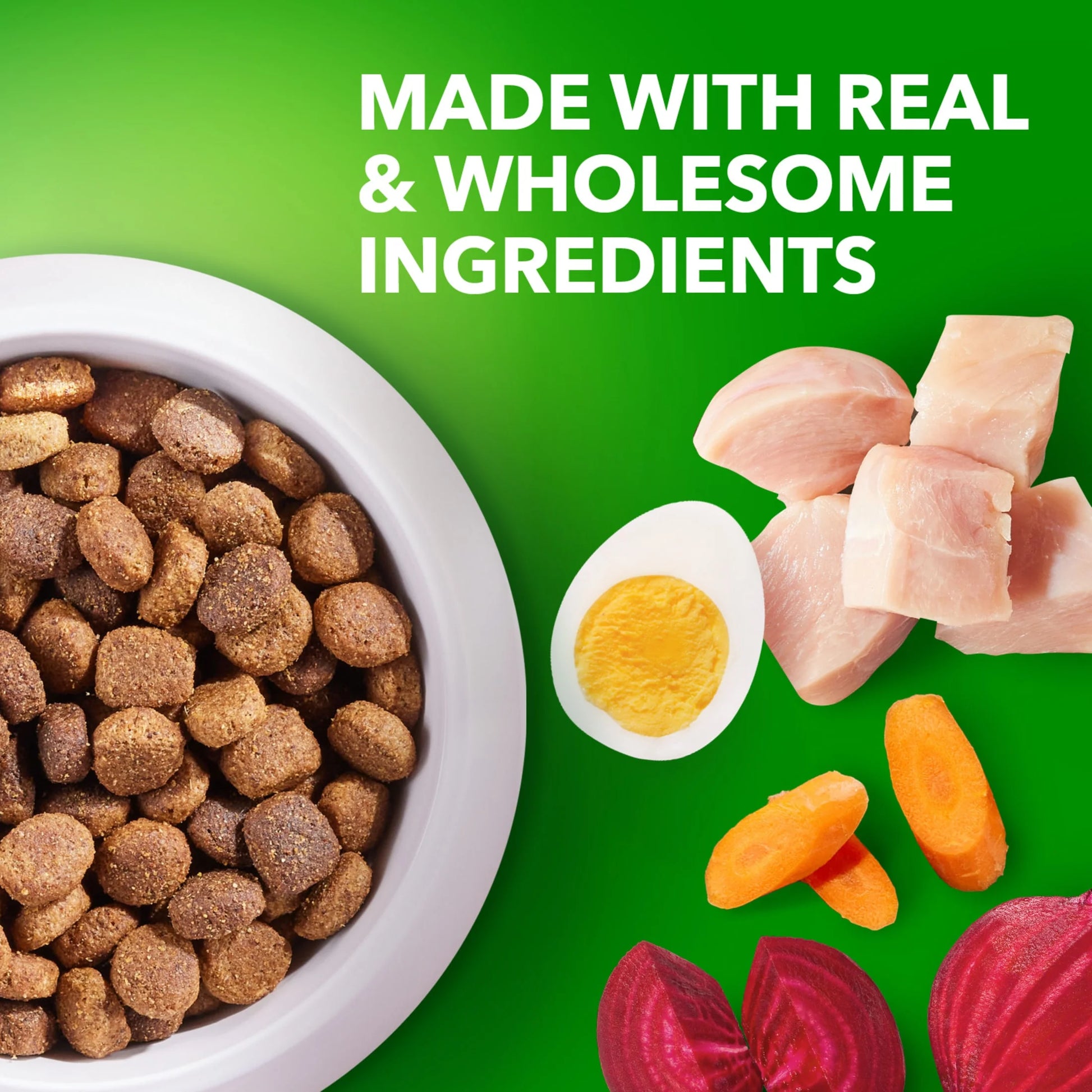 Proactive Health Large Breed Dry Dog Food with Real Chicken, 30 lb Bag