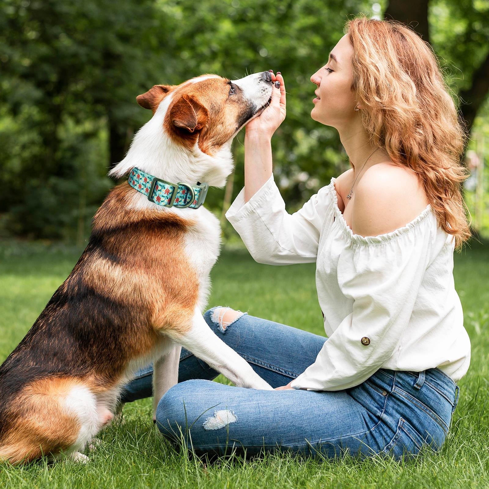 Stylish Dog Collar with Cyan Flower Pattern, Soft Nylon Design for Small to Large Dogs, Size S