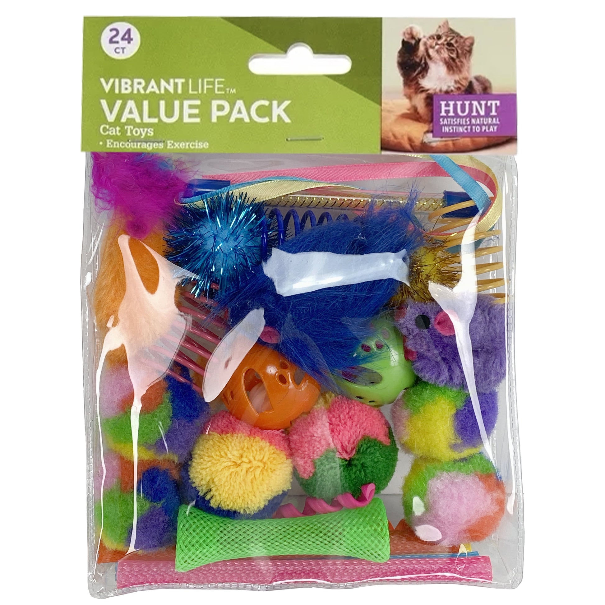 24-Piece Assorted Cat Toy Set