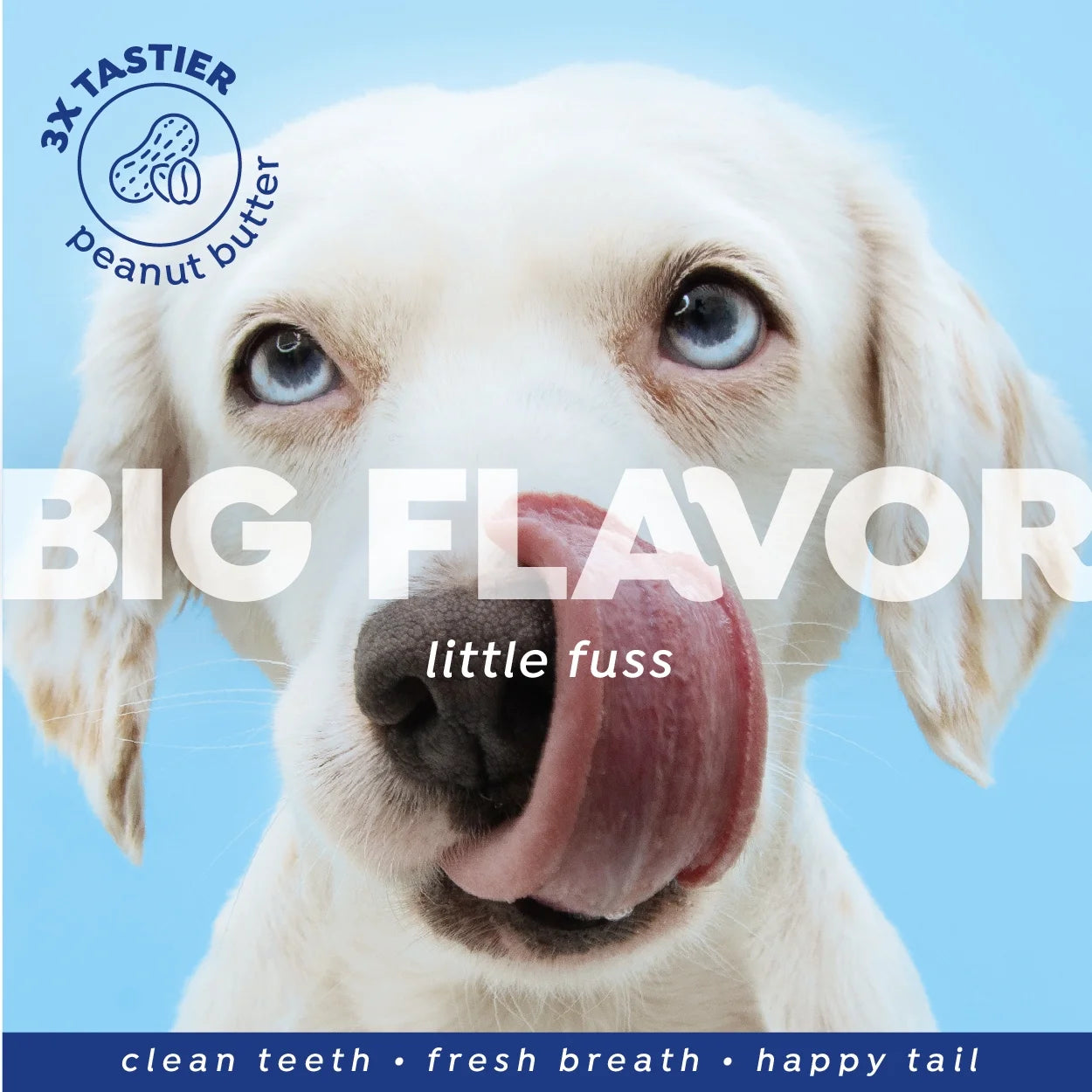 Fresh Dental Tooth Brushing Kit for Dogs & Cats, 2 Oz Gel and Toothbrush