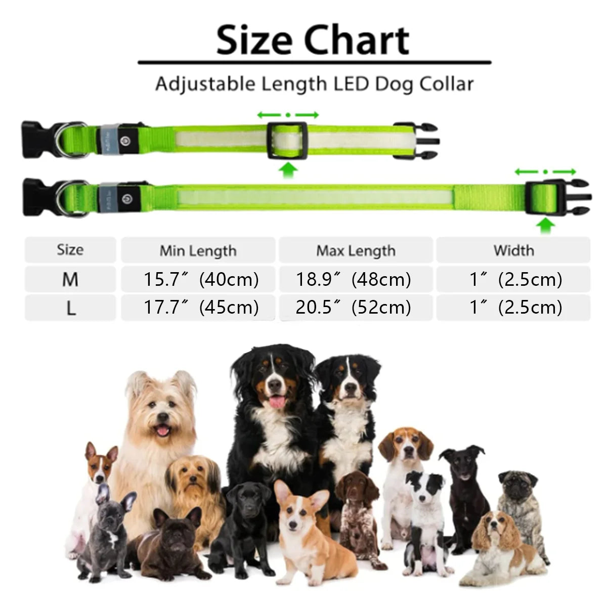 Rechargeable LED Dog Collar - Waterproof Color Changing Glow in the Dark Collar for Dogs of All Sizes (Neon Green)