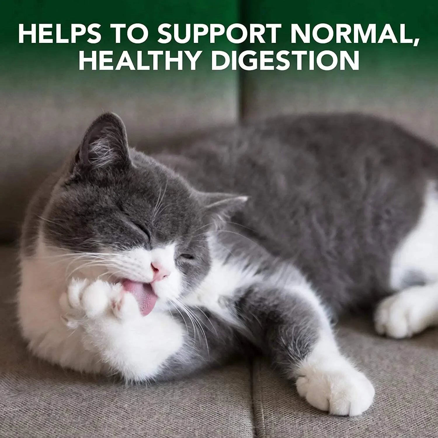 Cat Hairball Relief Digestive Aid - 60 Chewable Tablets