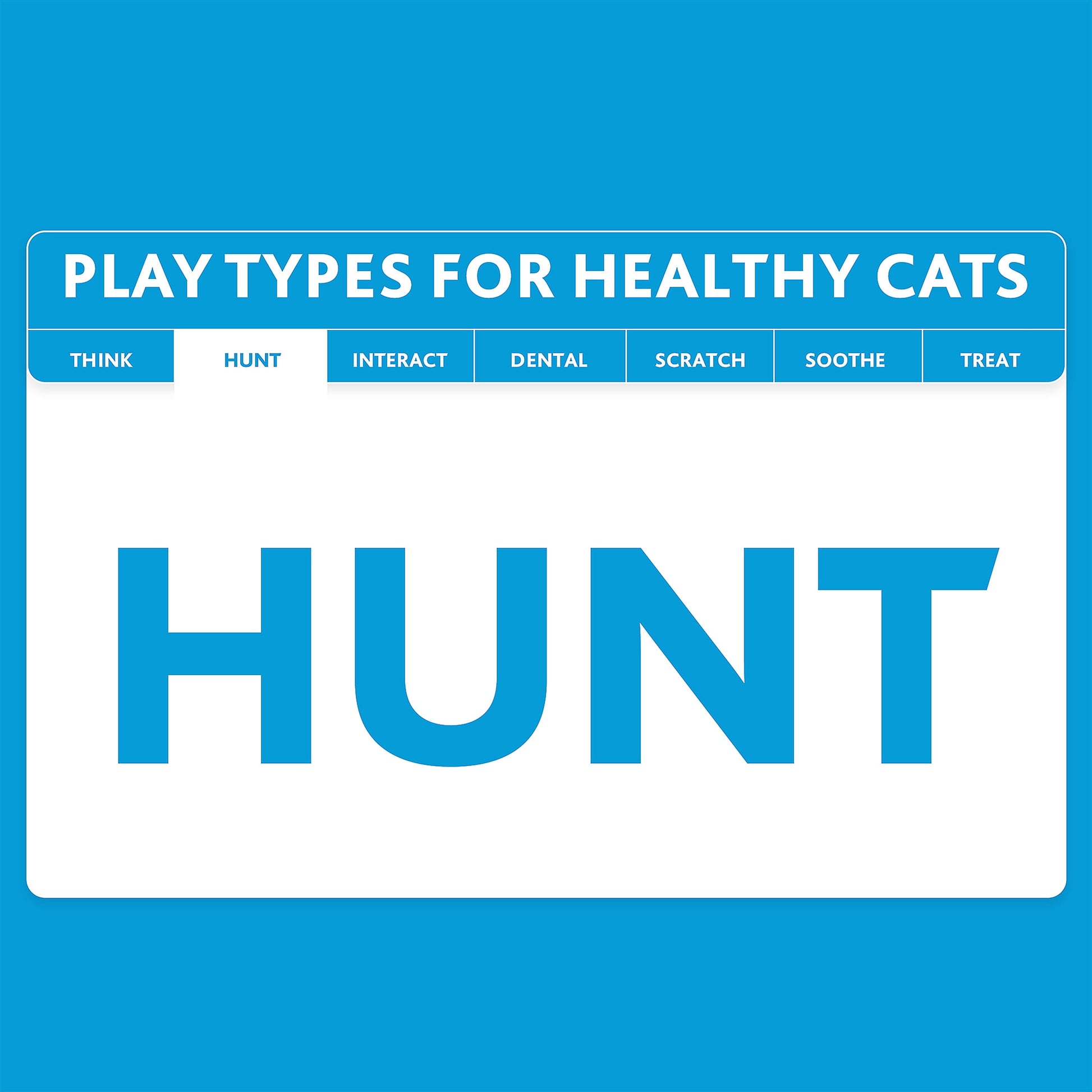 (6 Pack)  Pom Pom Cat Toy, Assorted Colors