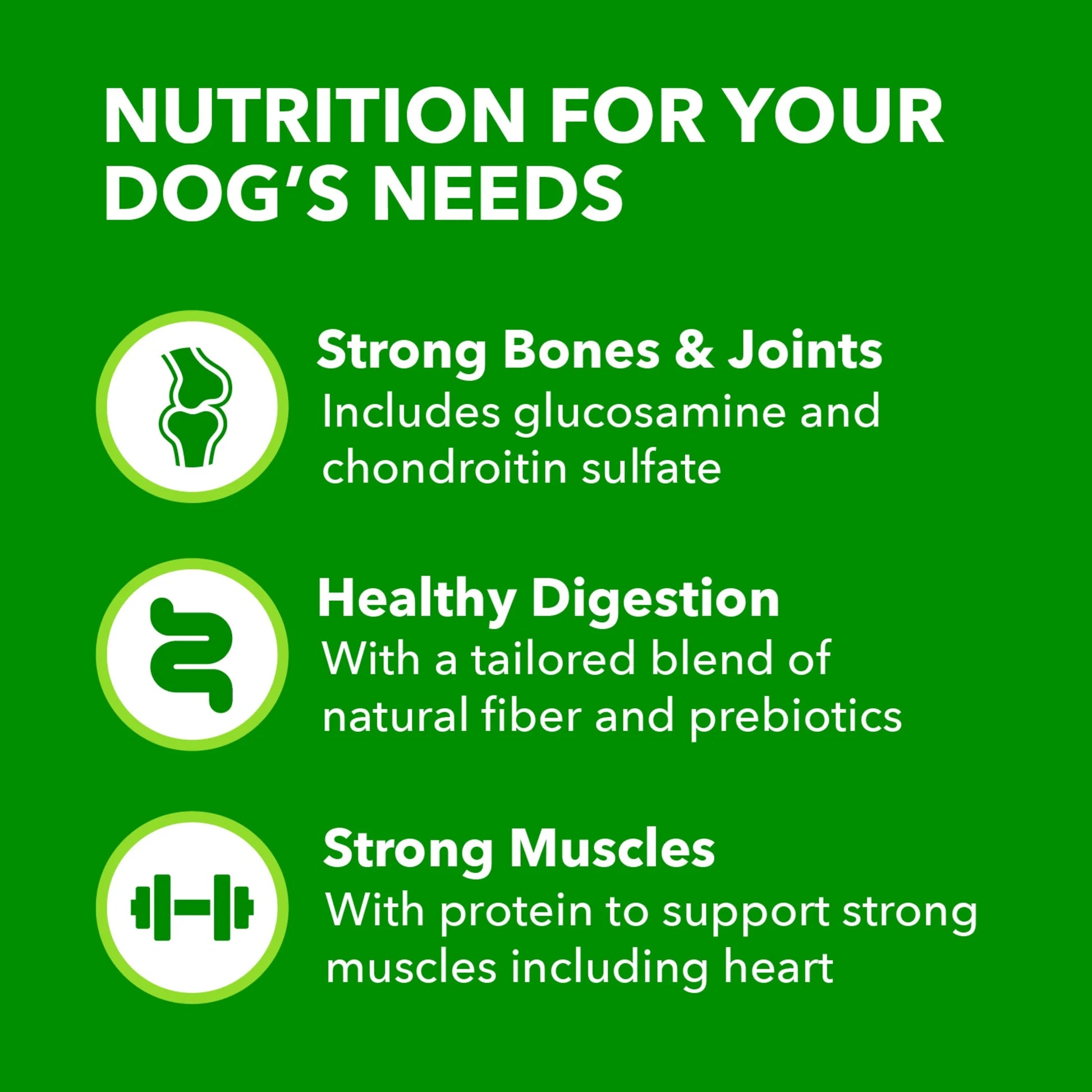 Proactive Health Large Breed Dry Dog Food with Real Chicken, 30 lb Bag