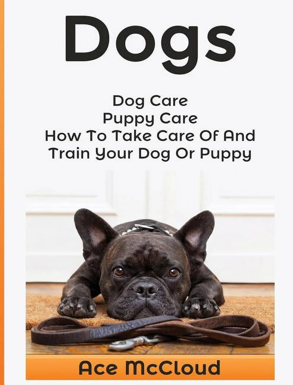 Comprehensive Guide to Dog and Puppy Care